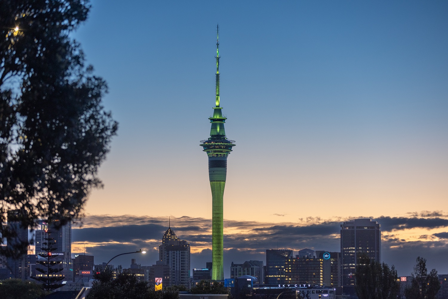 Auckland's Skytower was illuminated green for Laneway Festival's headline announcement. Photo / Michael Craig