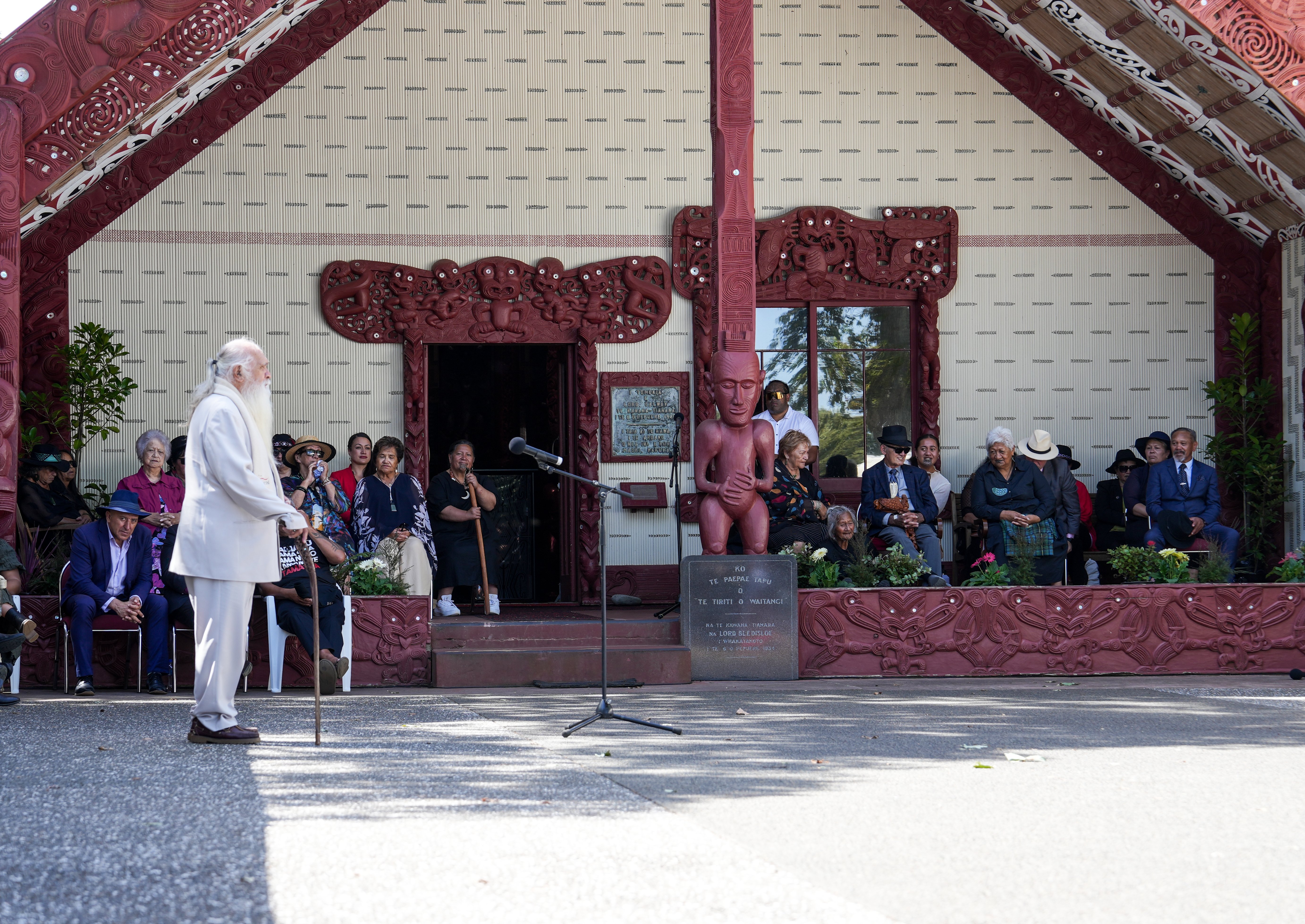 Te Hau Ora a Ngāpuhi chair Hone Sadler, pictured speaking at Waitangi, says the health minister needs to speak with grassroots organisations. Photo / NZME