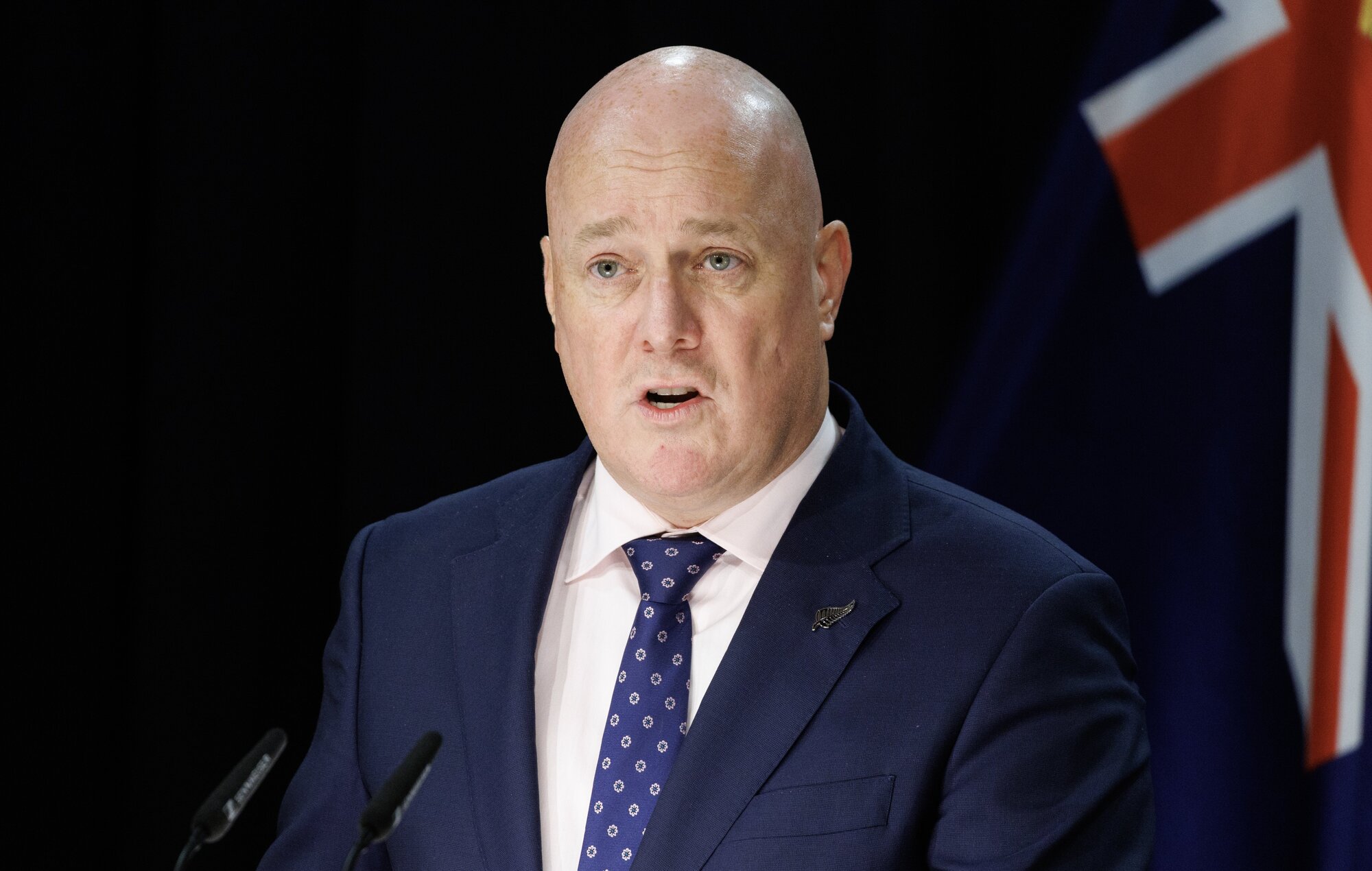 National and its leader Christopher Luxon have remained at 29% across two polls. Photo / Mark Mitchell 