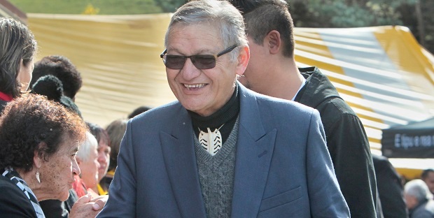 King Tuheitia has called a national hui for Māori to discuss the Government's agenda. Photo / Warren Buckland