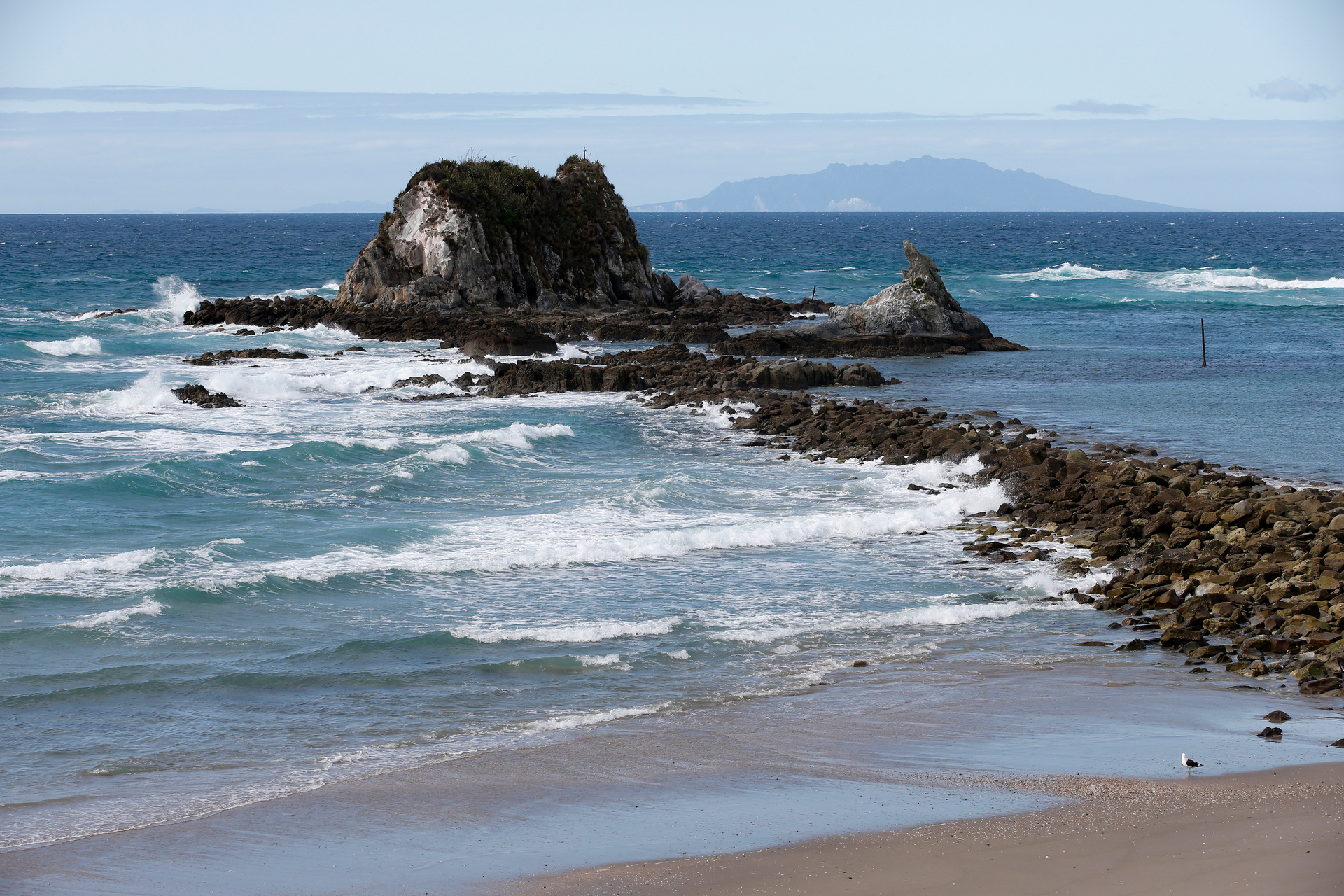 The Mangawhai Cliffs Walkway provides breathtaking views of the coastline where lucky hikers may catch glimpses of whales and dolphins. Photo / NZME