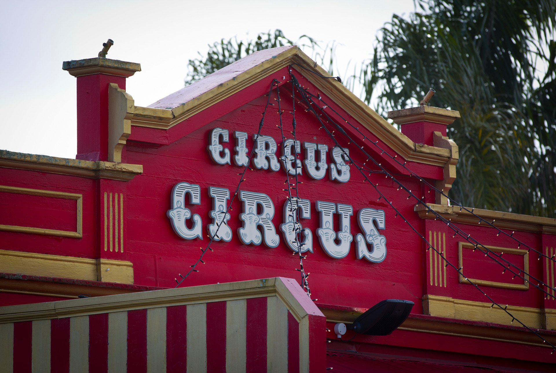 Circus Circus is always packed full of customers. Photo / Sarah Ivey