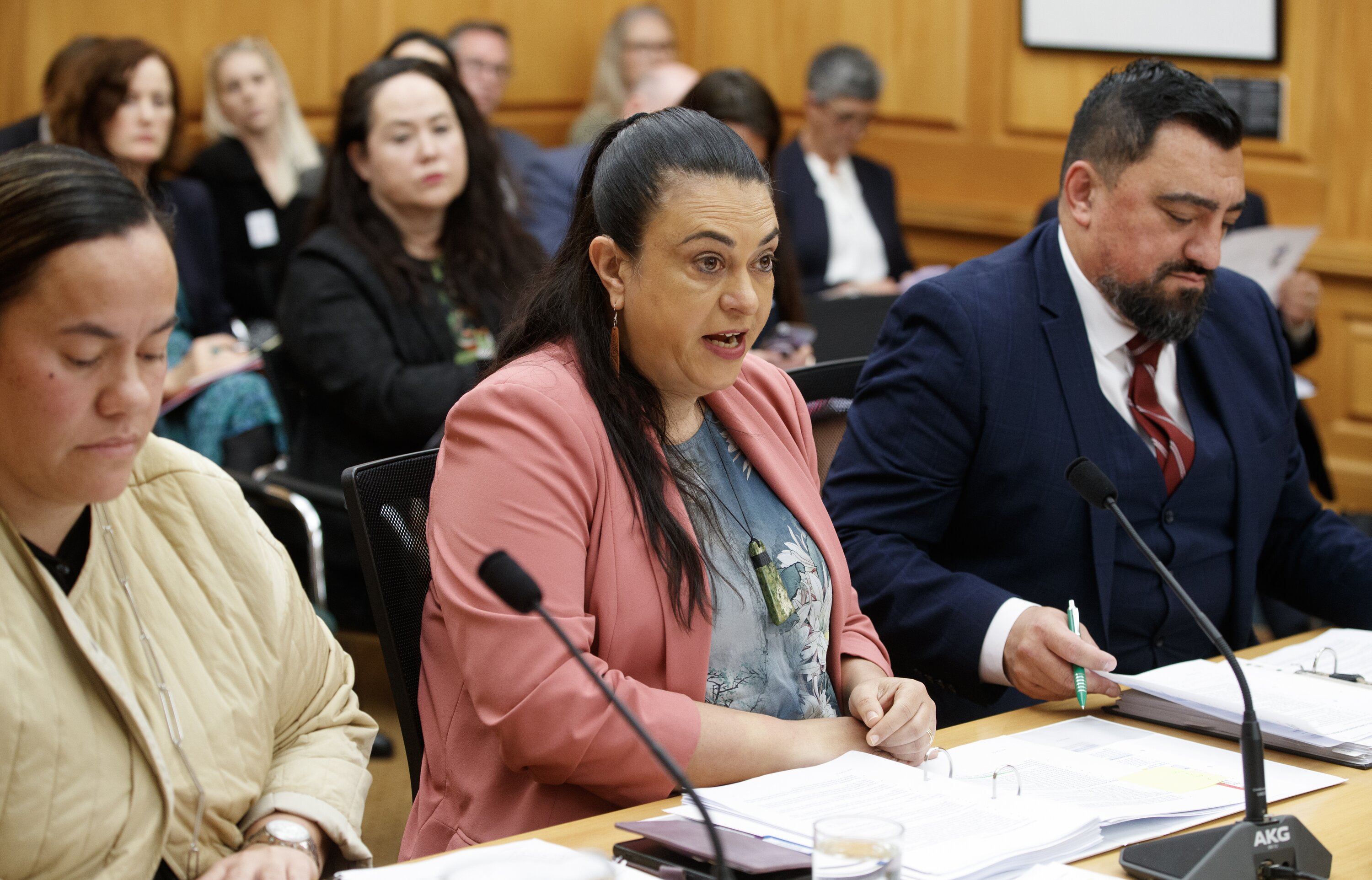 Children Minister Karen Chhour appears before the Social Services and Community committee. Photo / Mark Mitchell