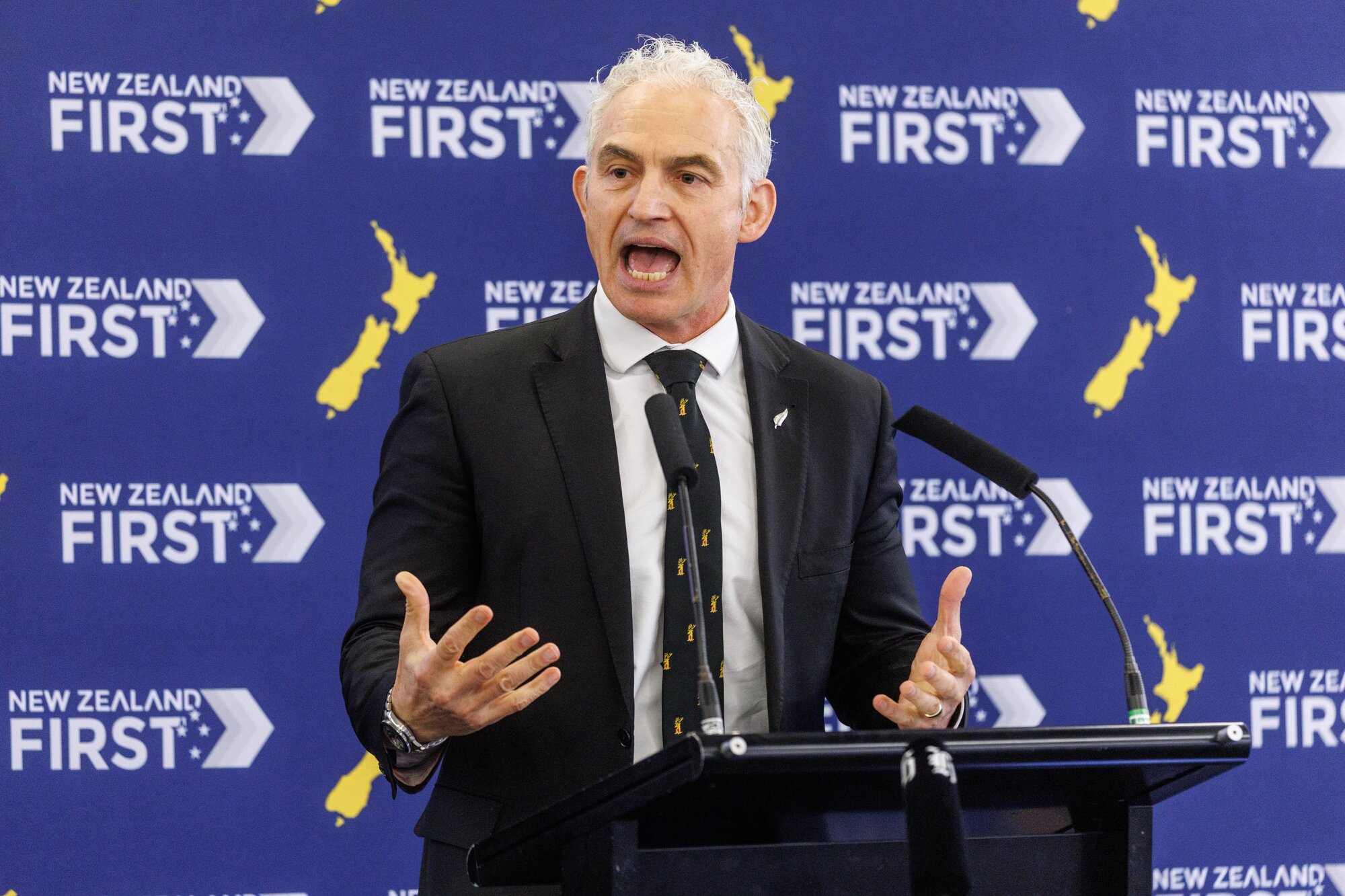 Former Labour minister Stuart Nash made an appearance at New Zealand First's convention in Palmerston North over the weekend. Photo / Mark Mitchell







 














