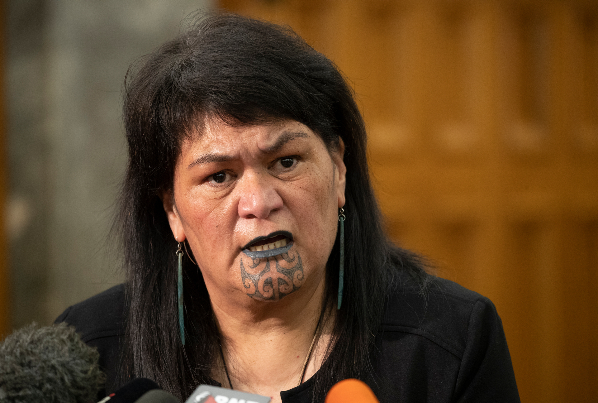 Local Government Minister Nanaia Mahuta during a press conference at Parliament, Wellington, last year. Photo / NZME