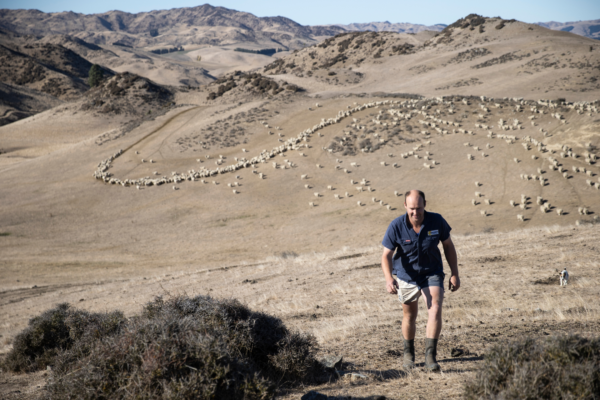 New Zealand's climate is warming at a quickening pace - making severe events like drought more frequent. Photo / George Heard