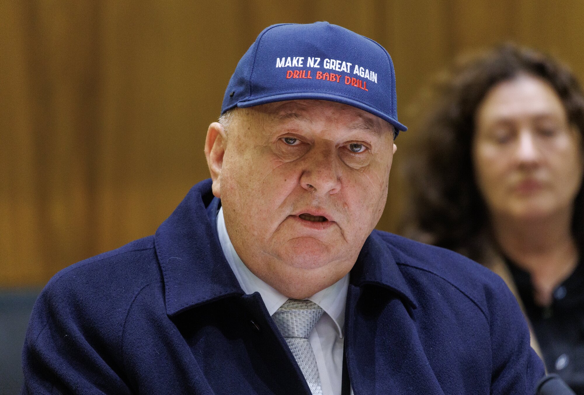Shane Jones said he supported the extractive fossil fuel industry. Photo / Mark Mitchell