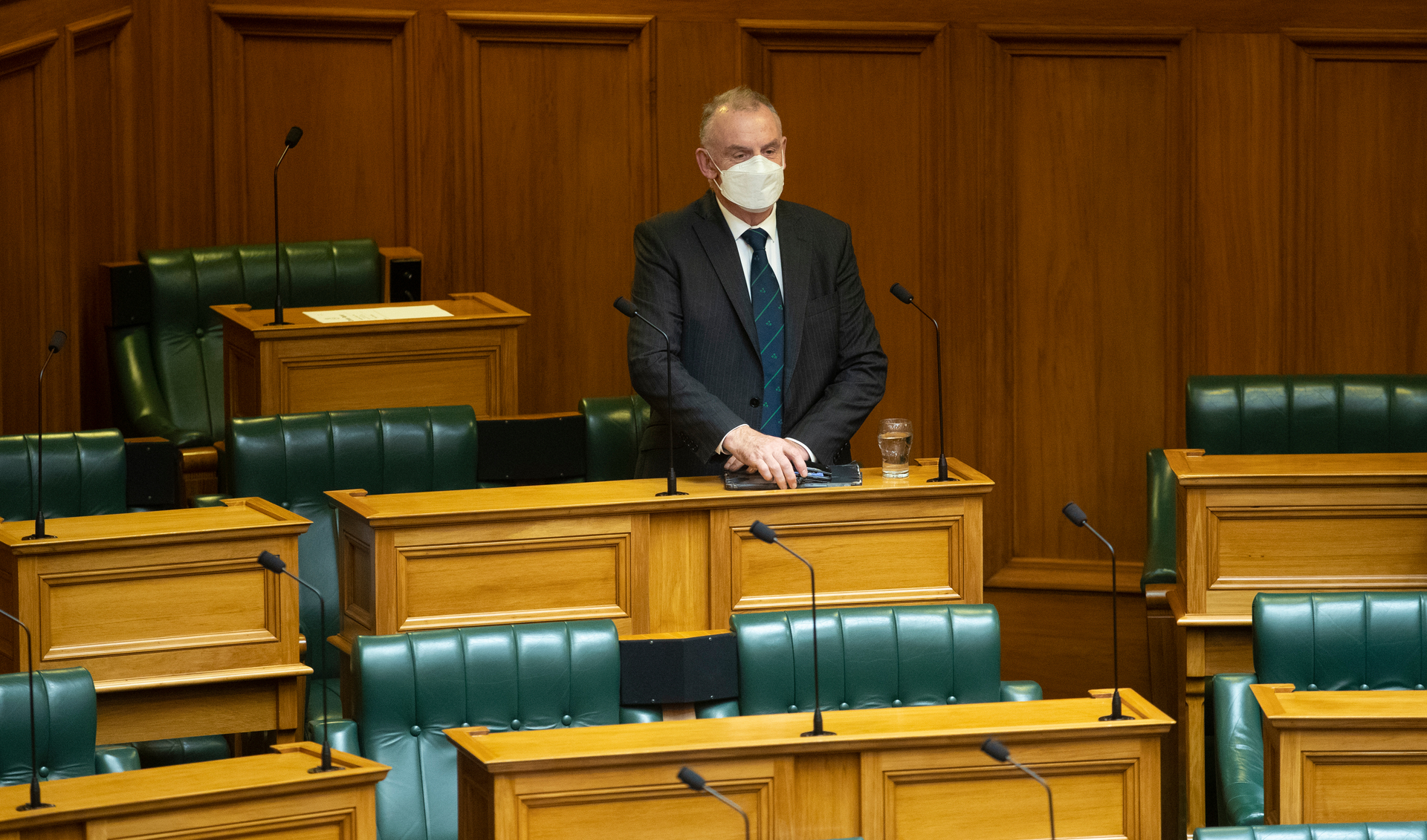 Former Speaker Trevor Mallard has been moved to the backbench ahead of his departure to become New Zealand's ambassador to Ireland. Photo / Mark Mitchell