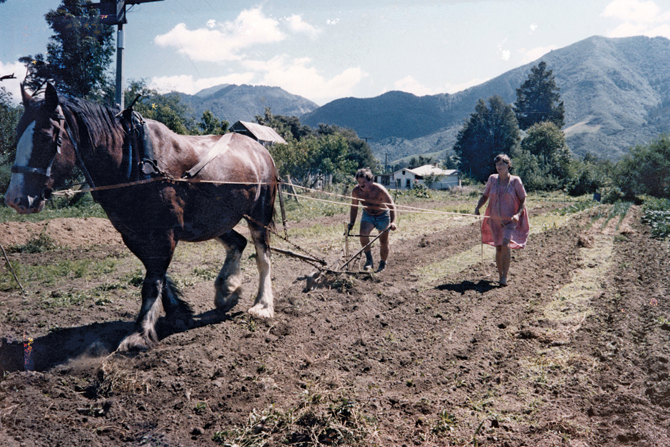 Commune book: Author Olive Jones on life in the 1970s on Tahuna Farm - NZ  Herald