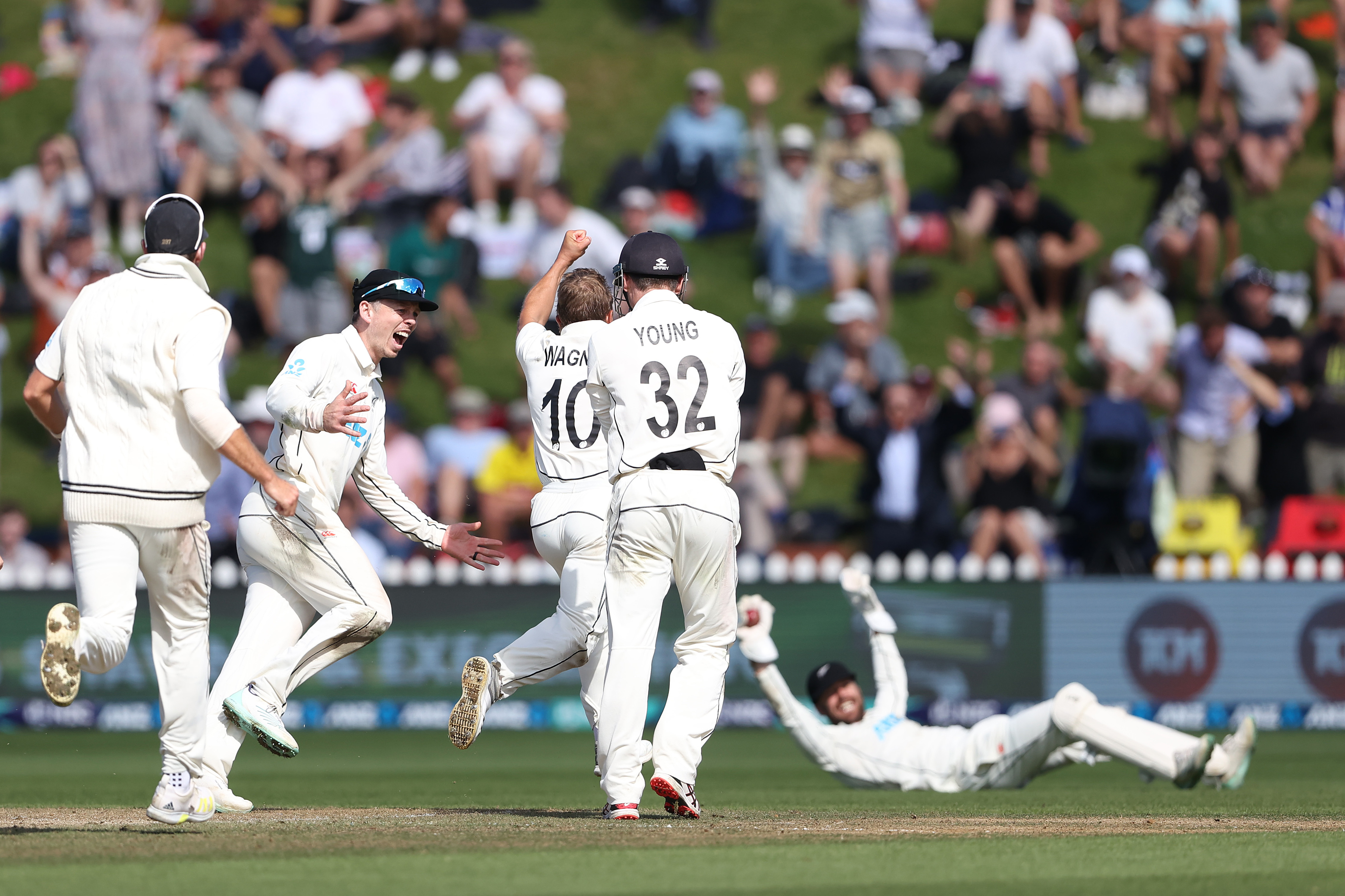 Neil Wagner celebrates his wicket of James Anderson of England. Photo / Getty Images