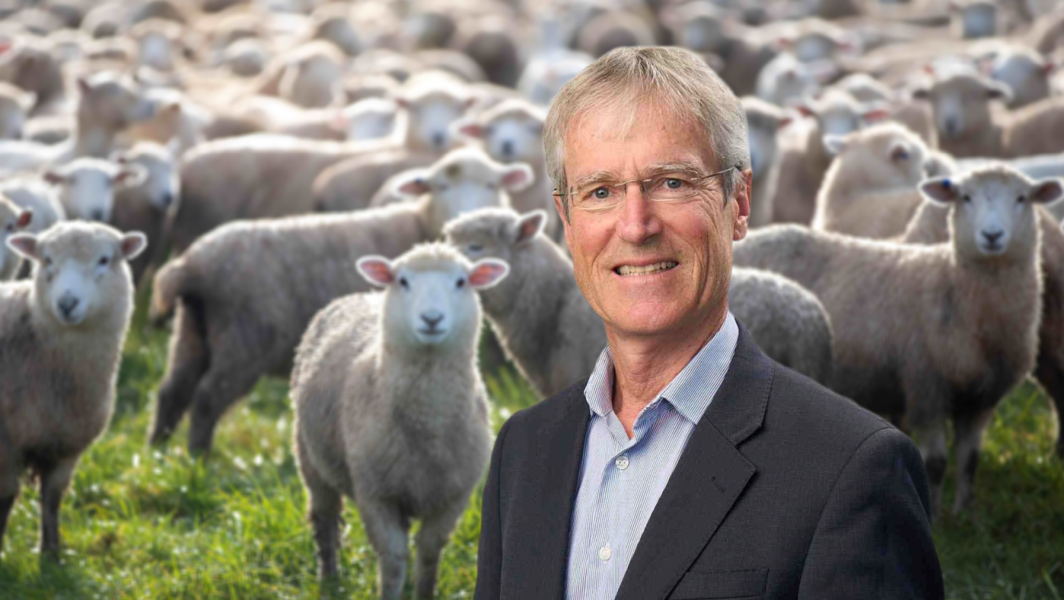 Alliance Group independent director Mark Wynne expects the co-op’s farmer-shareholders to back a proposal from Dawn Meats. Photo / Supplied 