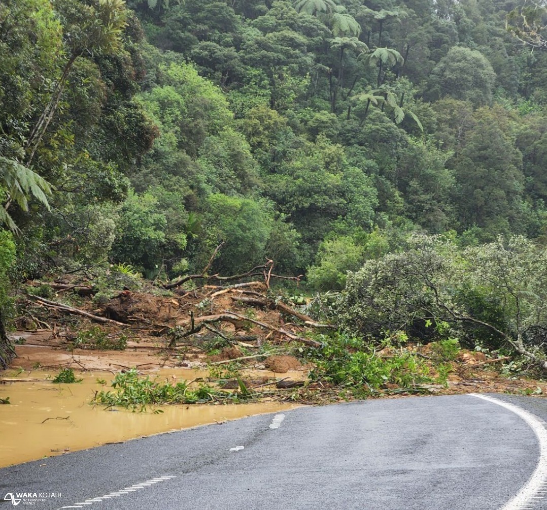 One of the five slips identified at the Mangamuka Gorge. Photo/Supplied