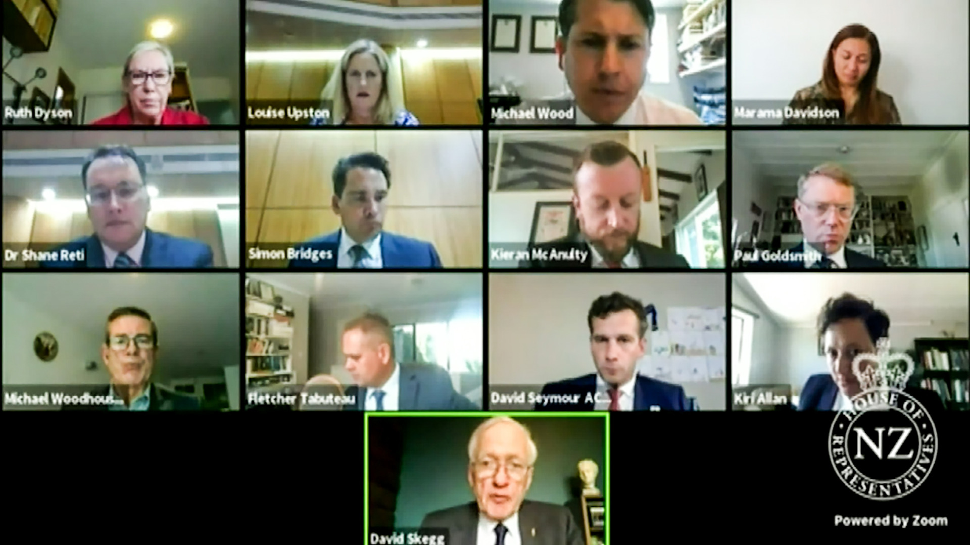 The Epidemic Response Committee was formed while Parliament was adjourned, giving the Opposition a way to hold the Government to account. Photo / Screenshot