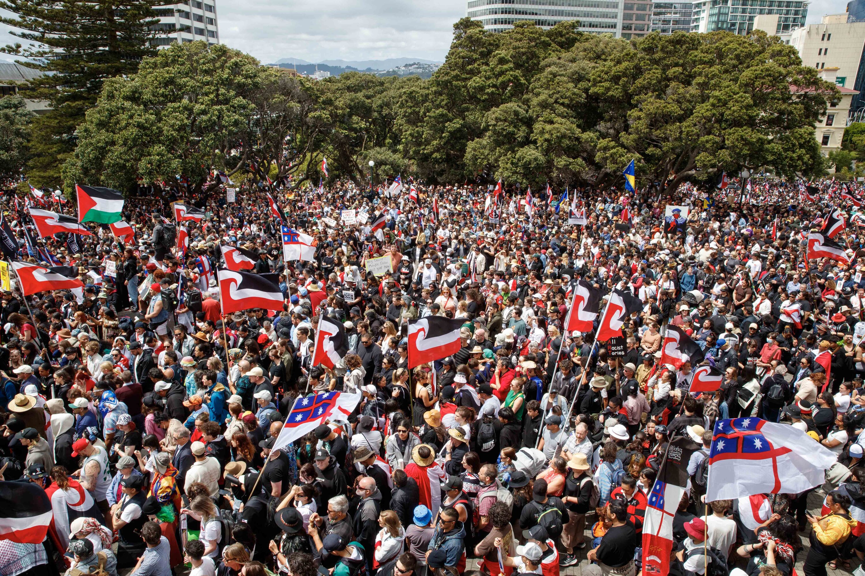 Parliament grounds were packed with protesters yesterday afternoon. Photo / Mark Mitchell