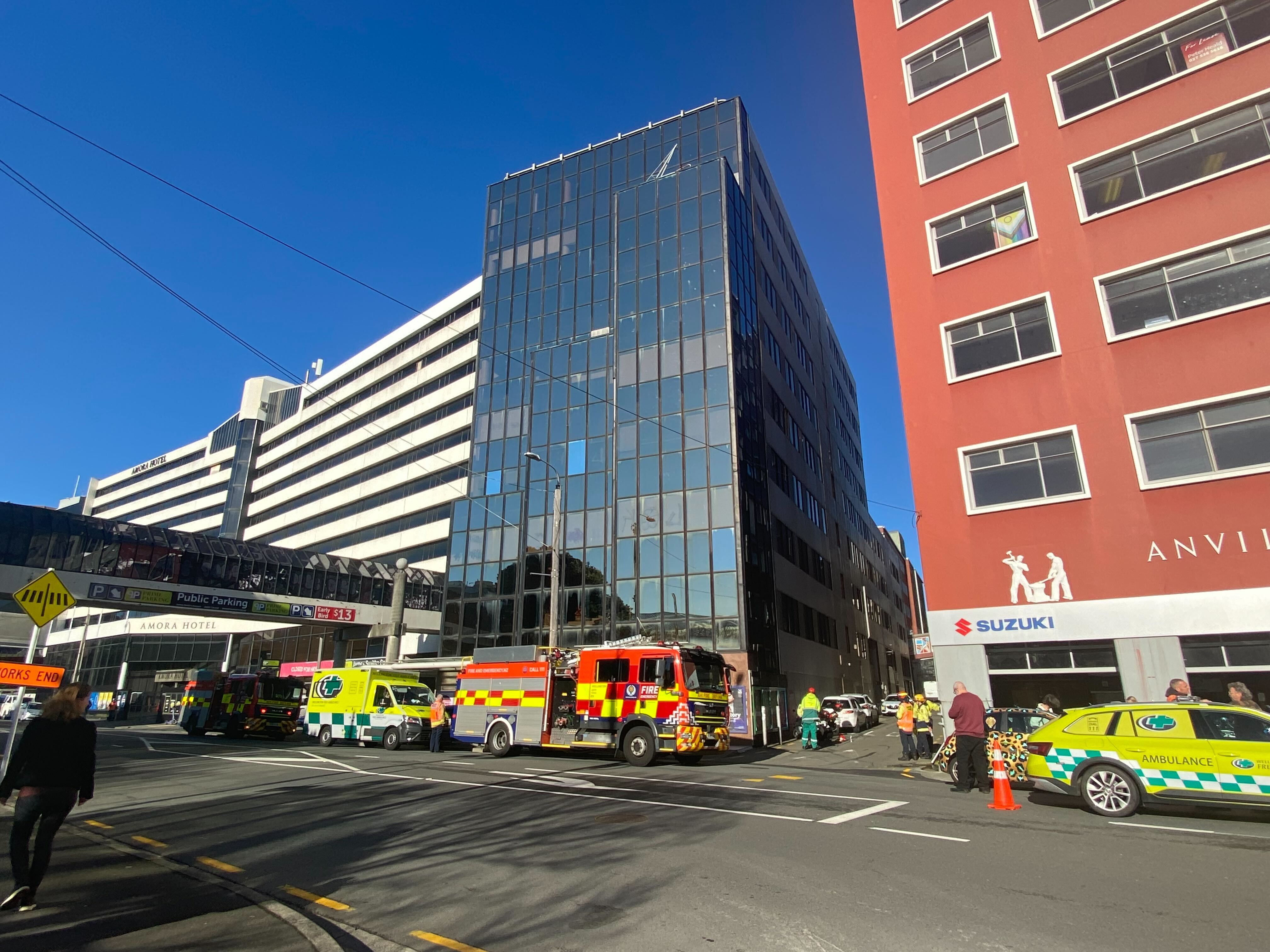 Emergency services outside Wellington's Pringle House. Photo / Ethan Manera