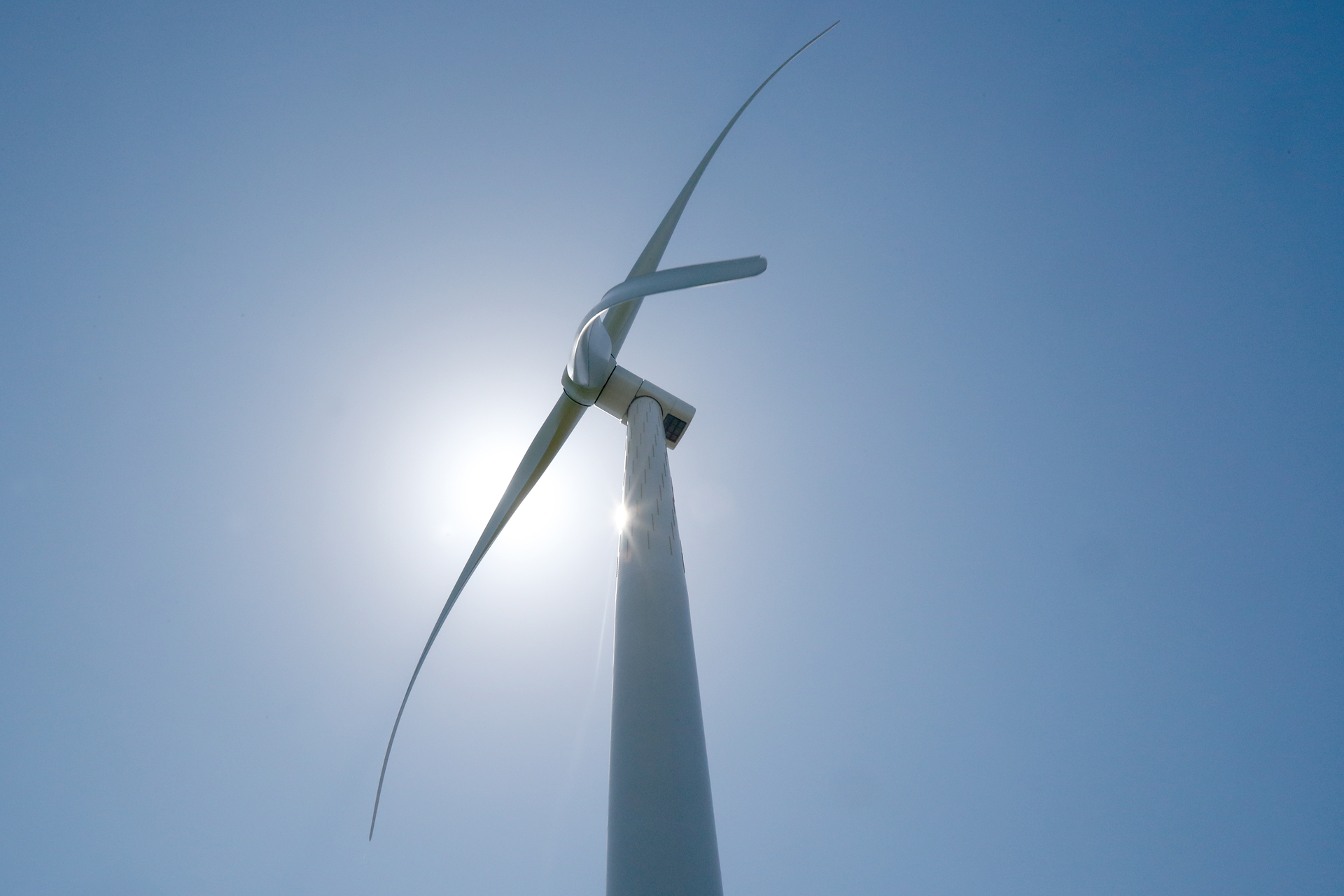 The medium-sized wind farm will have up to 19 220m-high wind turbines. Photo / File
