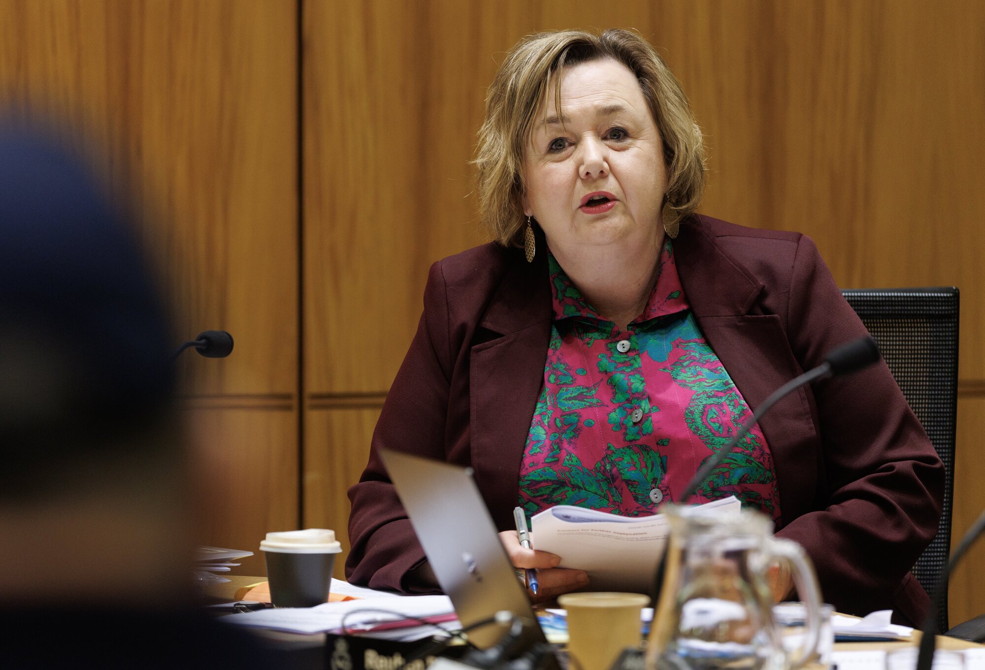 Labour MP Megan Woods said Jones didn't come prepared to answer questions. Photo / Mark Mitchell

