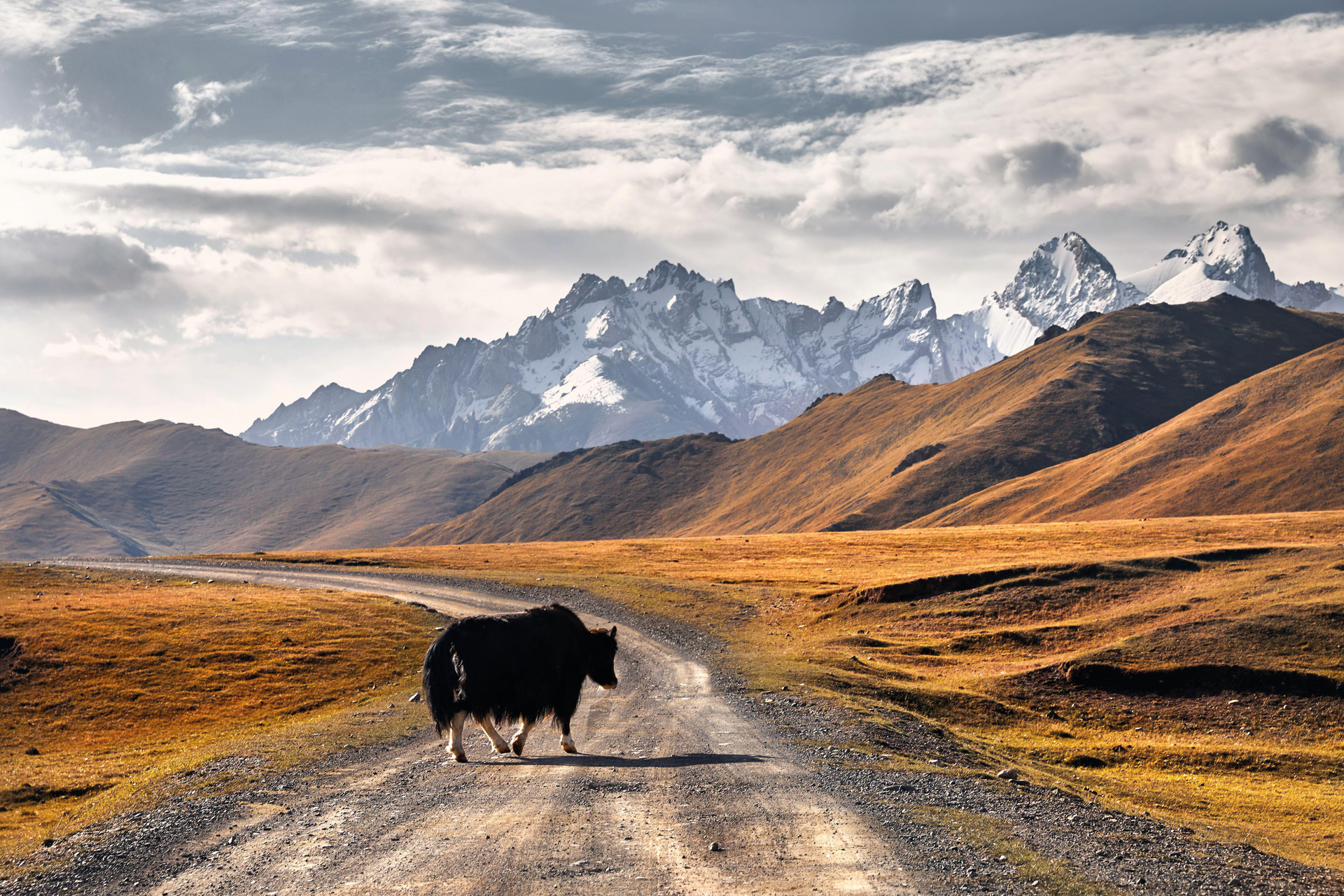 The mountain valleys of Kyrgyzstan, Central Asia, are about as off-track as you can get. Photo / supplied