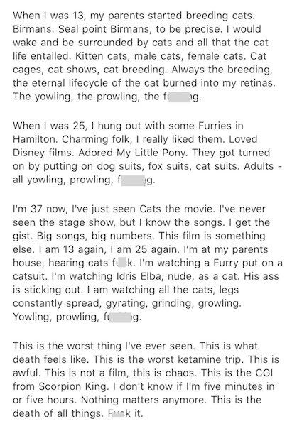 The review in full. Photo / Twitter