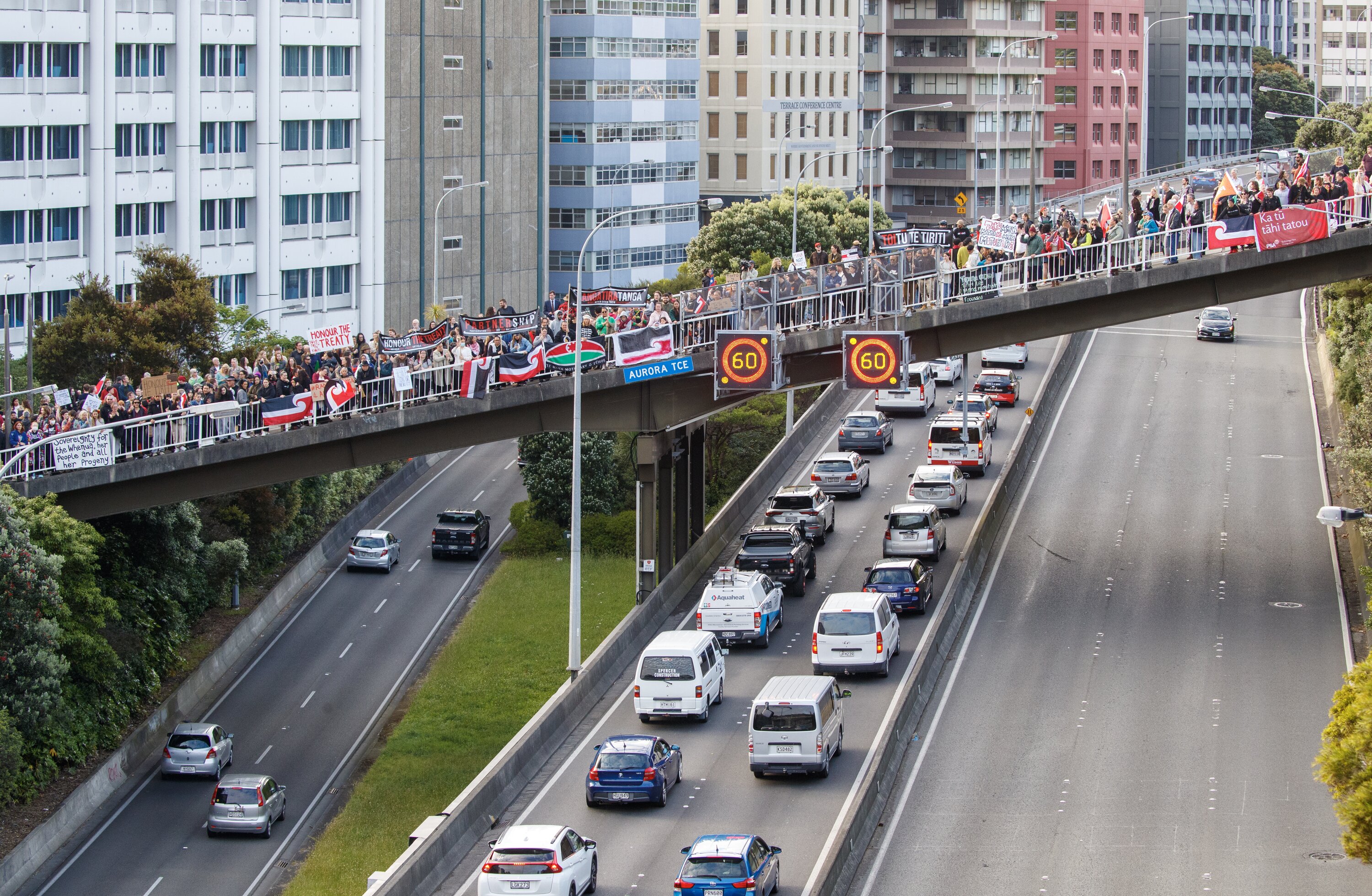 National Māori Action Day protesters on the Aurora Terrace bridge across State Highway One in Wellington last December. Photo / Mark Mitchell