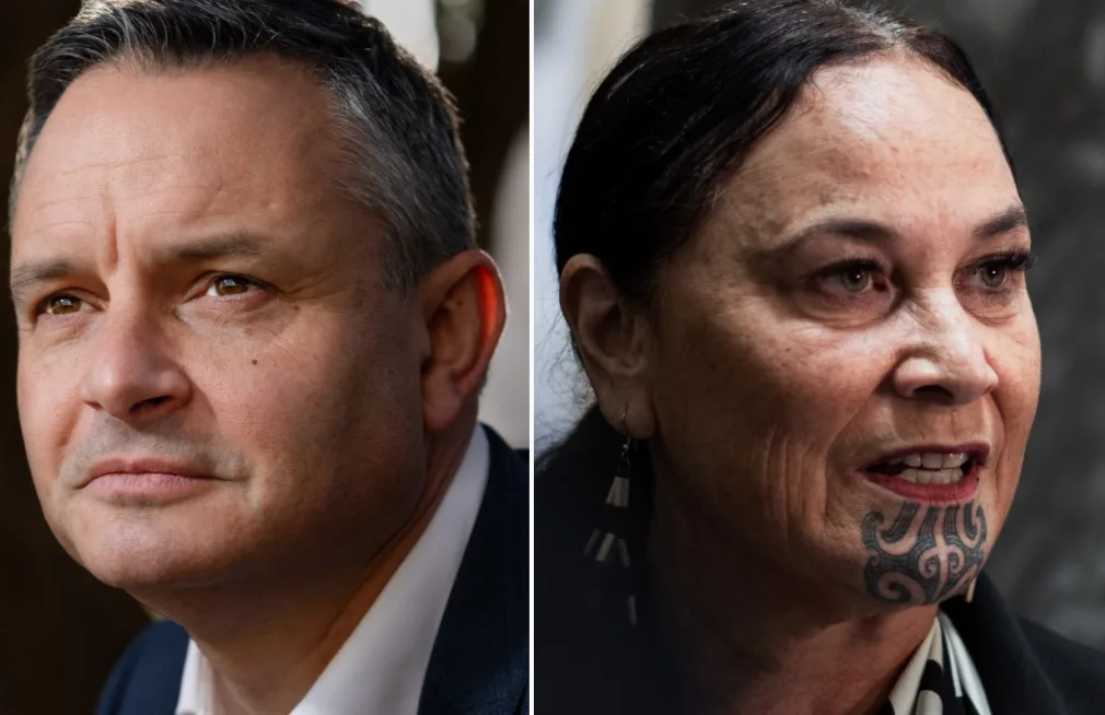 Green Party co-leader James Shaw and Te Pāti Māori co-leader Debbie Ngarewa-Packer. Photo / RNZ