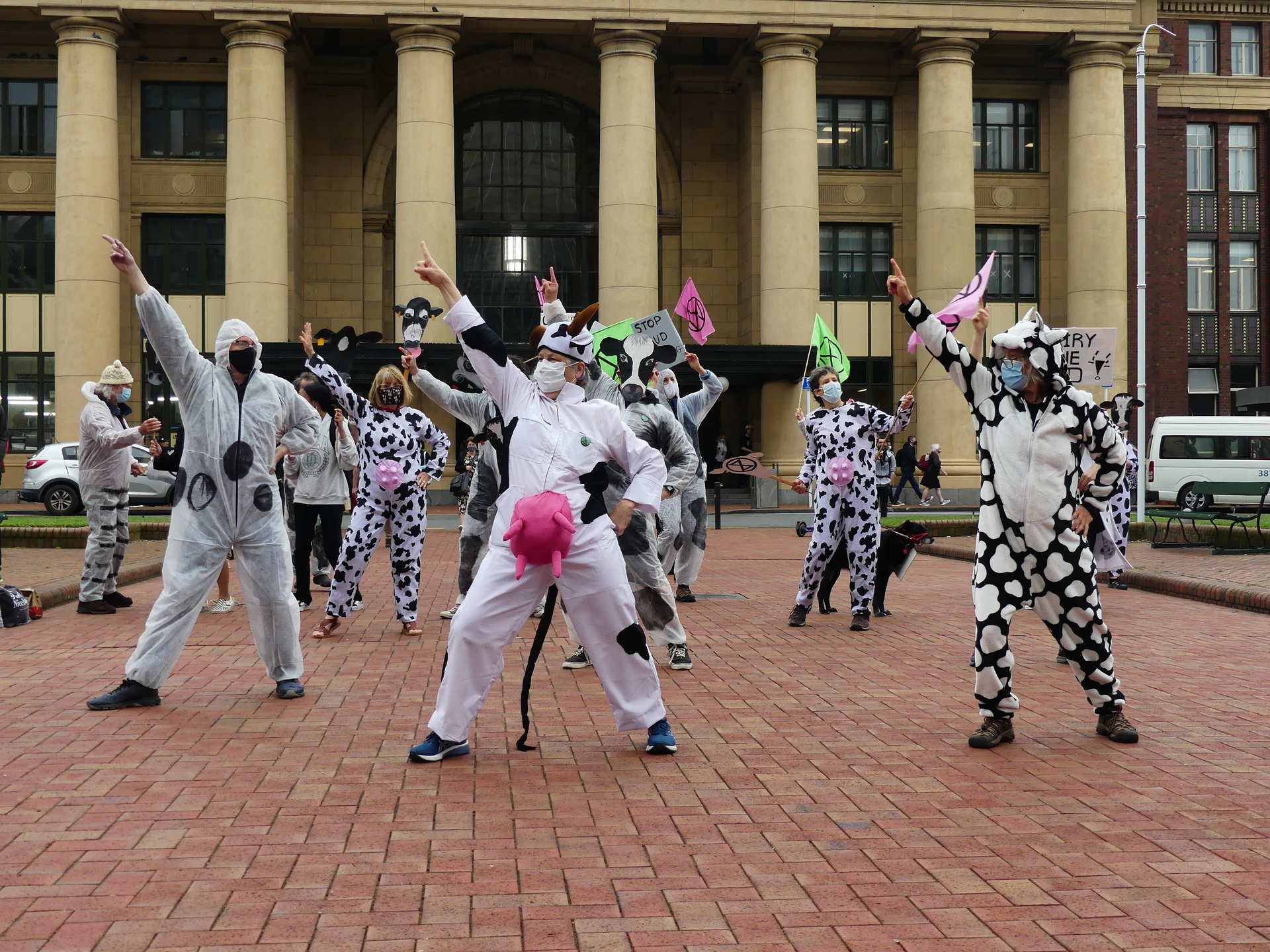 Rebels dressed as cows moving to disco music at Wellington Station. Photo / Patrick Flanagan