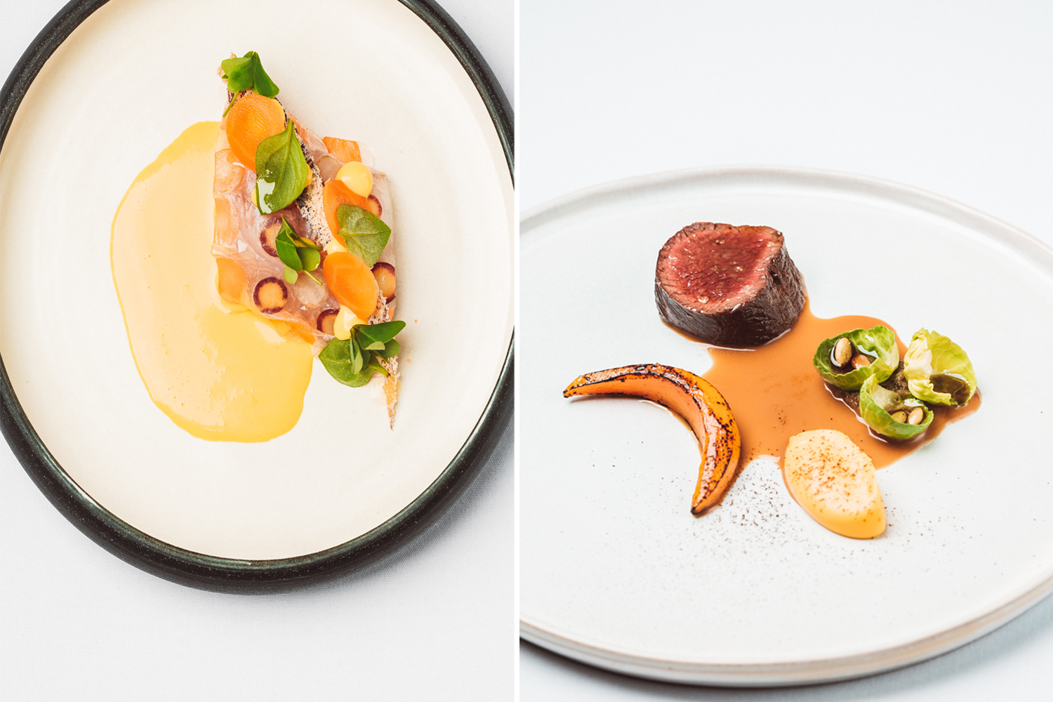 Left to Right: Houhora Bay snapper with carrot, coconut and orange. Pamu Estate venison with pumpkin seed, buttercup and coffee. Photos / Supplied.