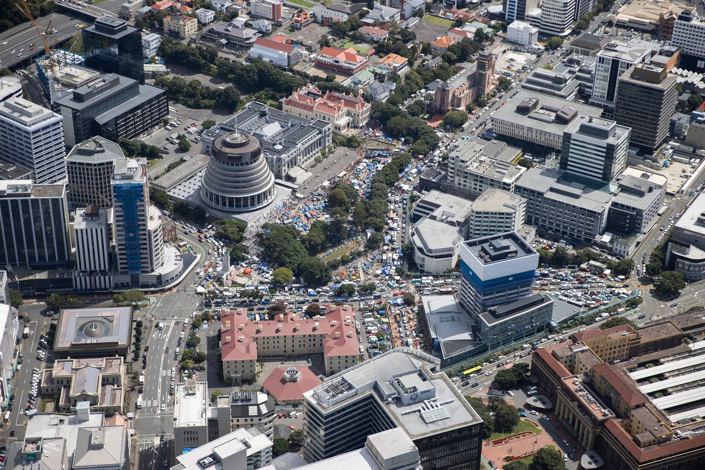 An aerial photo on Saturday shows the scale of the protest. Photo / George Heard