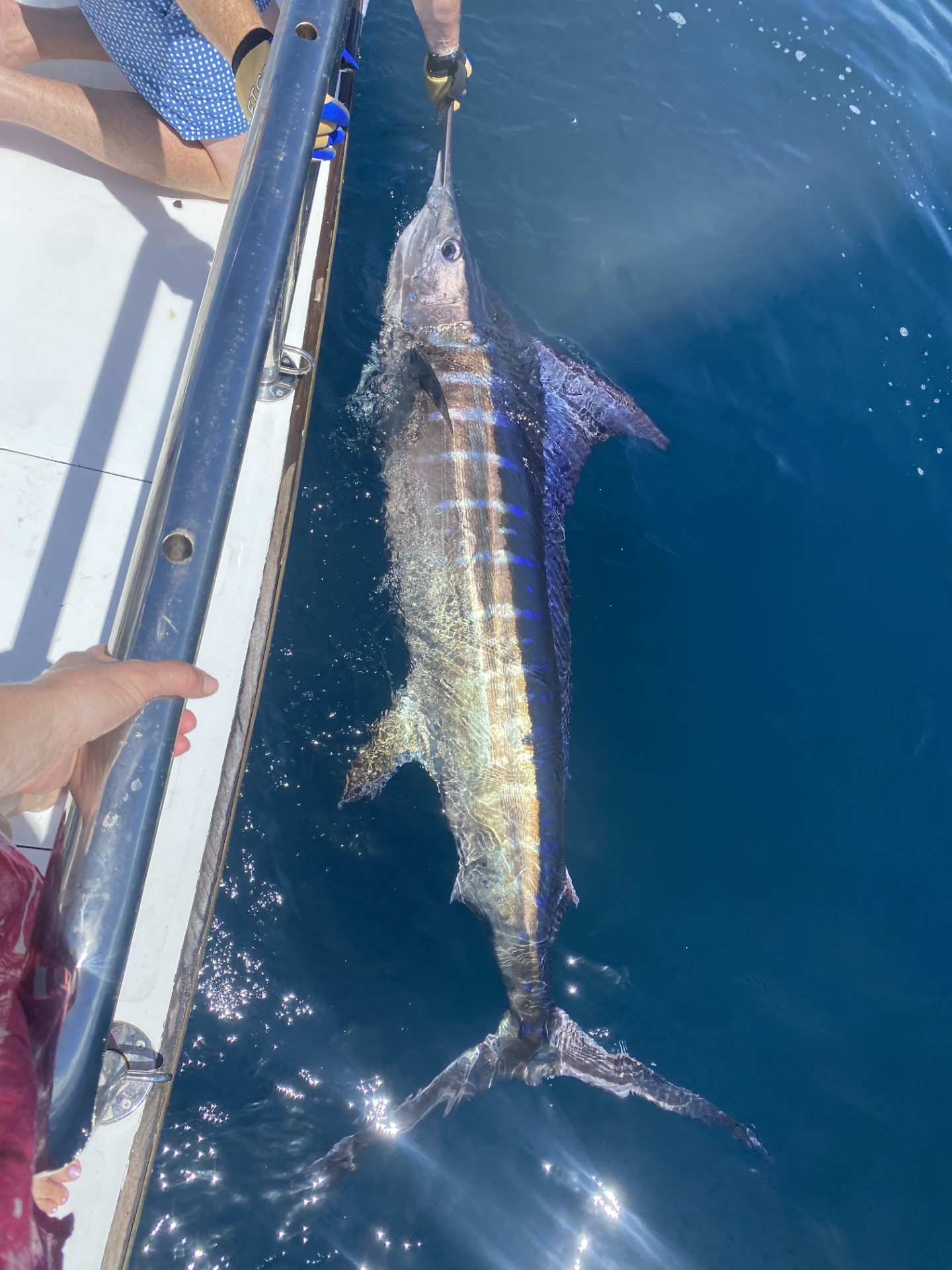 Fishing guru changes tack with new show - NZ Herald