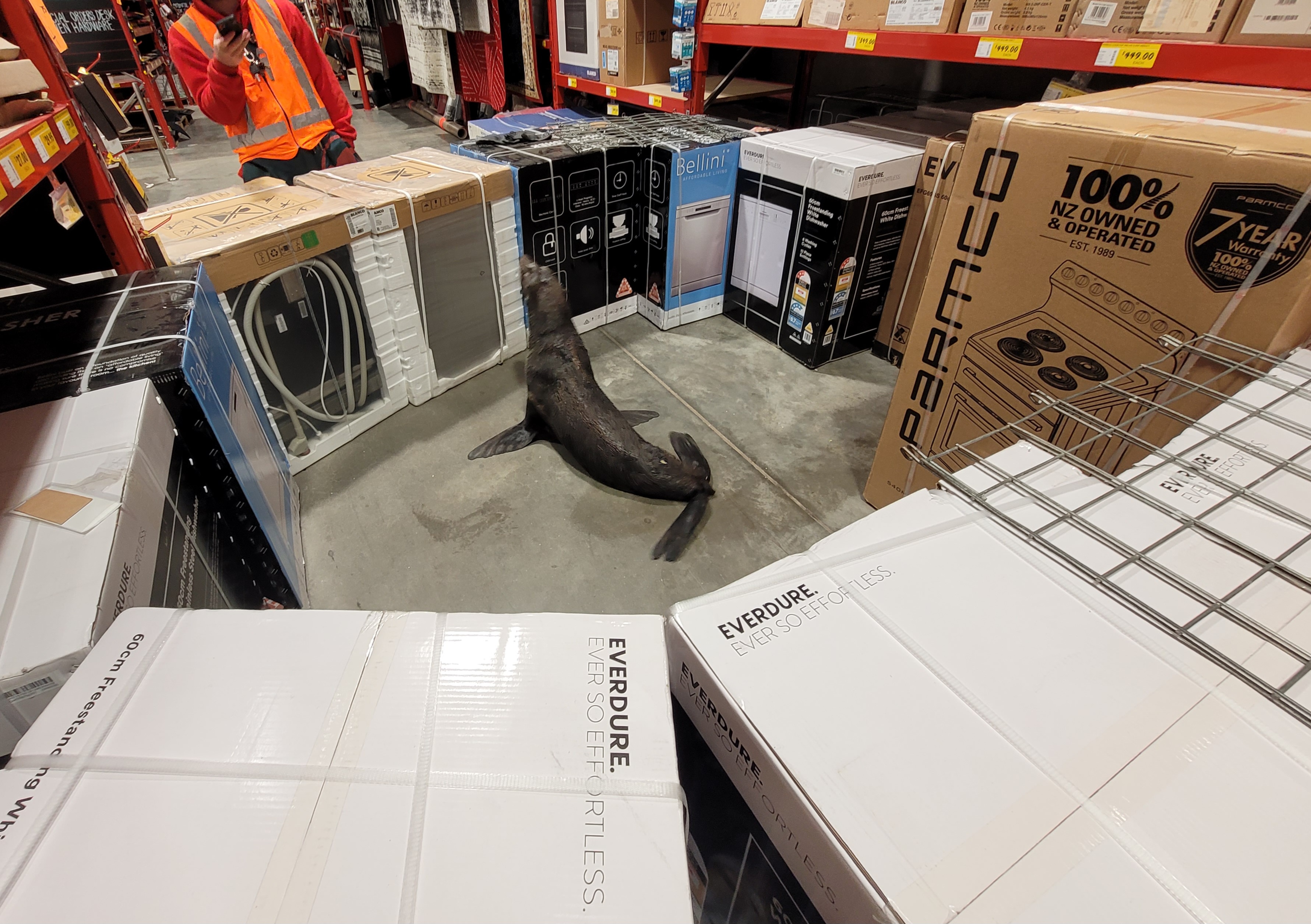 Bunnings warehouse deals dishwashers