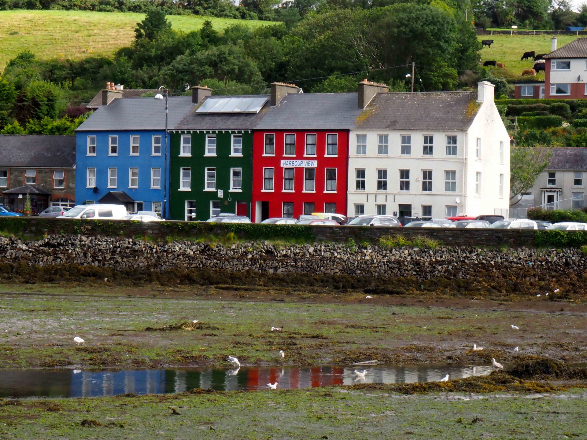 Bantry Harbour, on the coast of West Cork, Ireland. Photo / Pamela Wade
