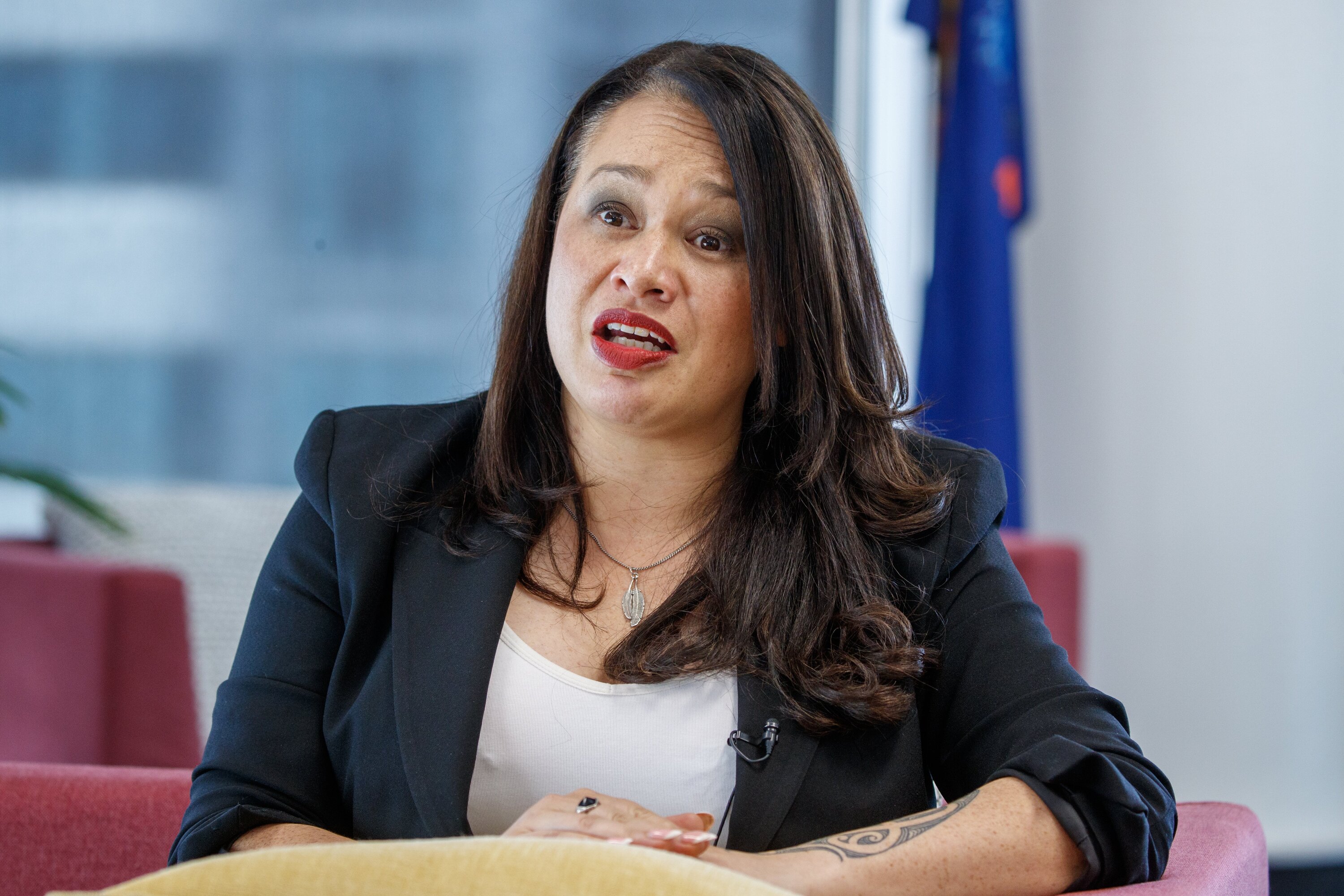 Wellington Mayor Tory Whanau says the cost to Wellington City for residential water meters is $130 million. Photo / Mark Mitchell