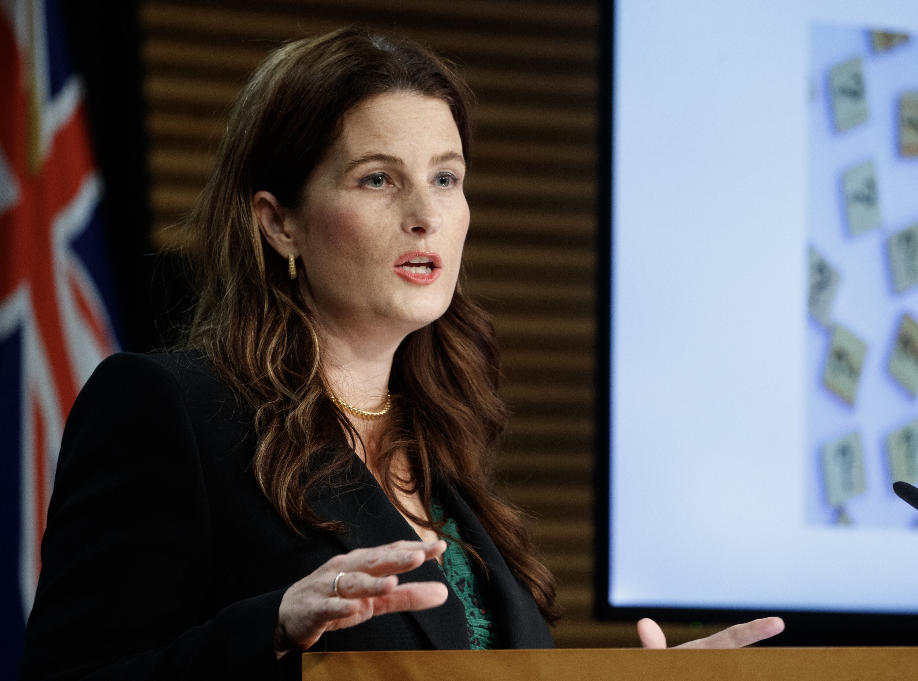 Finance Minister Nicola Willis during the release of the Budget Policy Statement. Photo / Mark Mitchell.