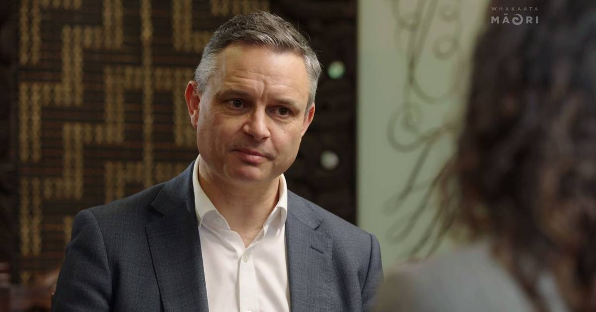 Green Party co-leader James Shaw. Photo / Te Ao Māori News