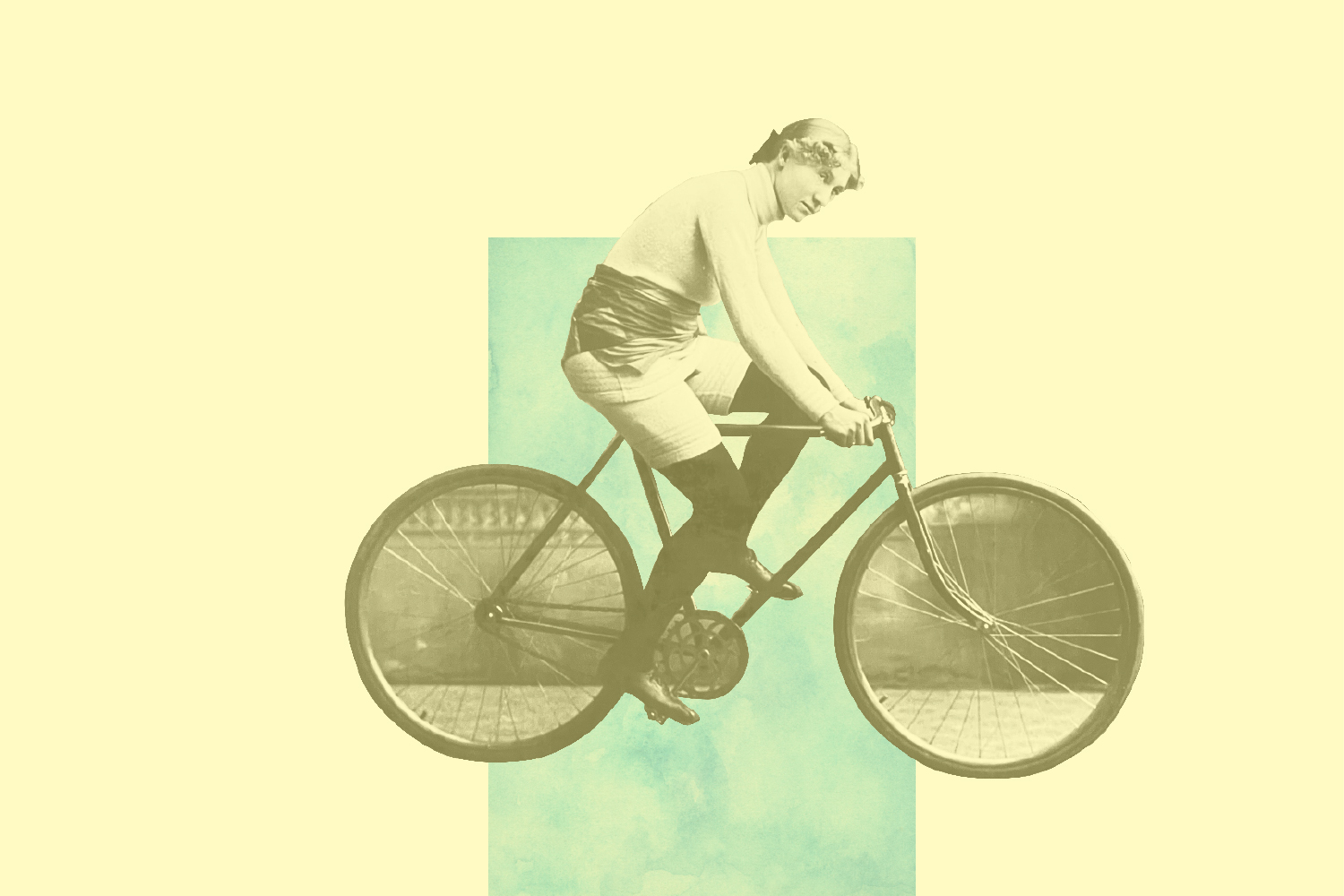 Idea two: Give an e-bike to everybody who wants one. Photo / Supplied