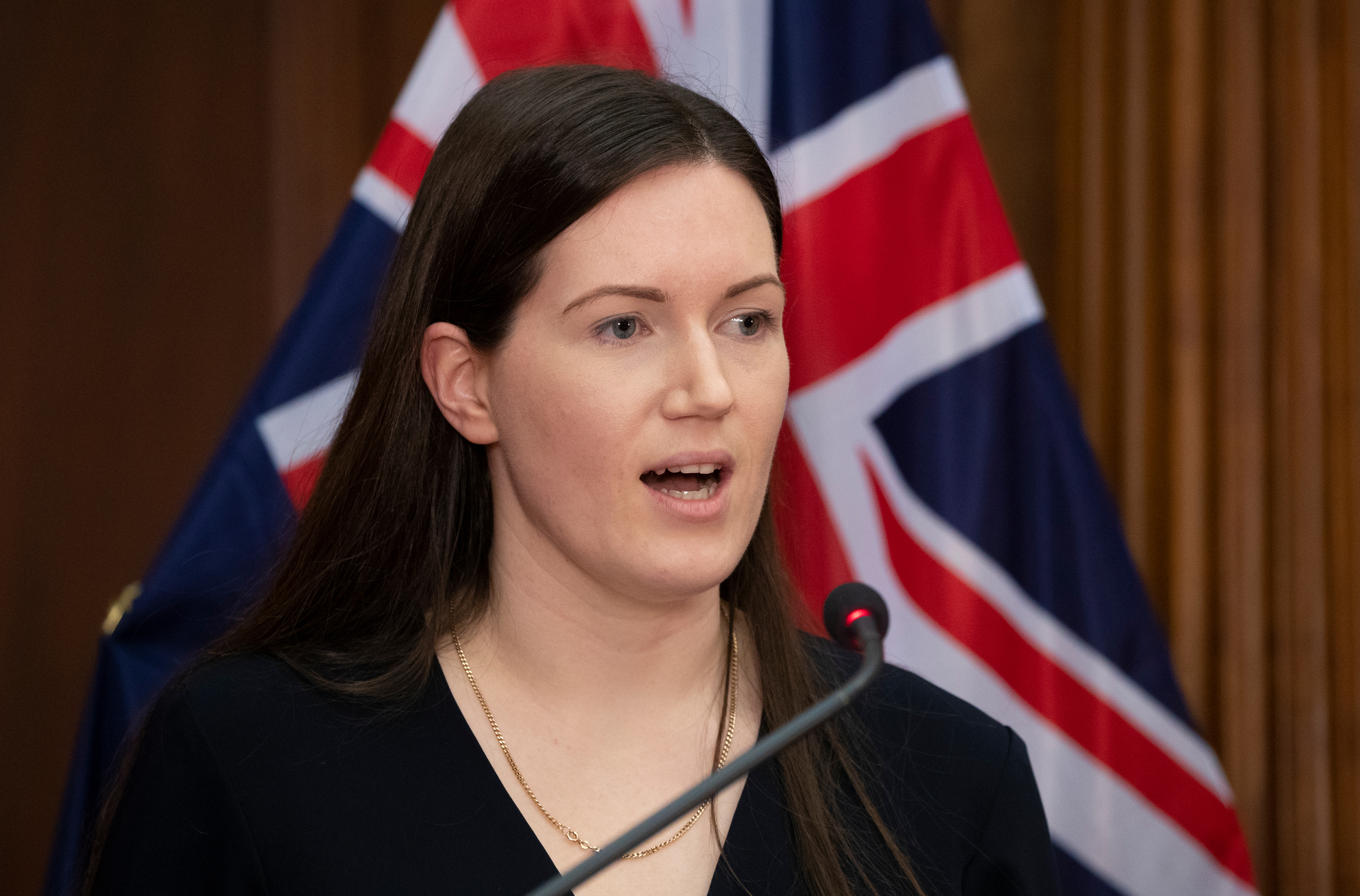 Act deputy leader and health spokeswoman Brooke van Velden. Photo / Mark Mitchell