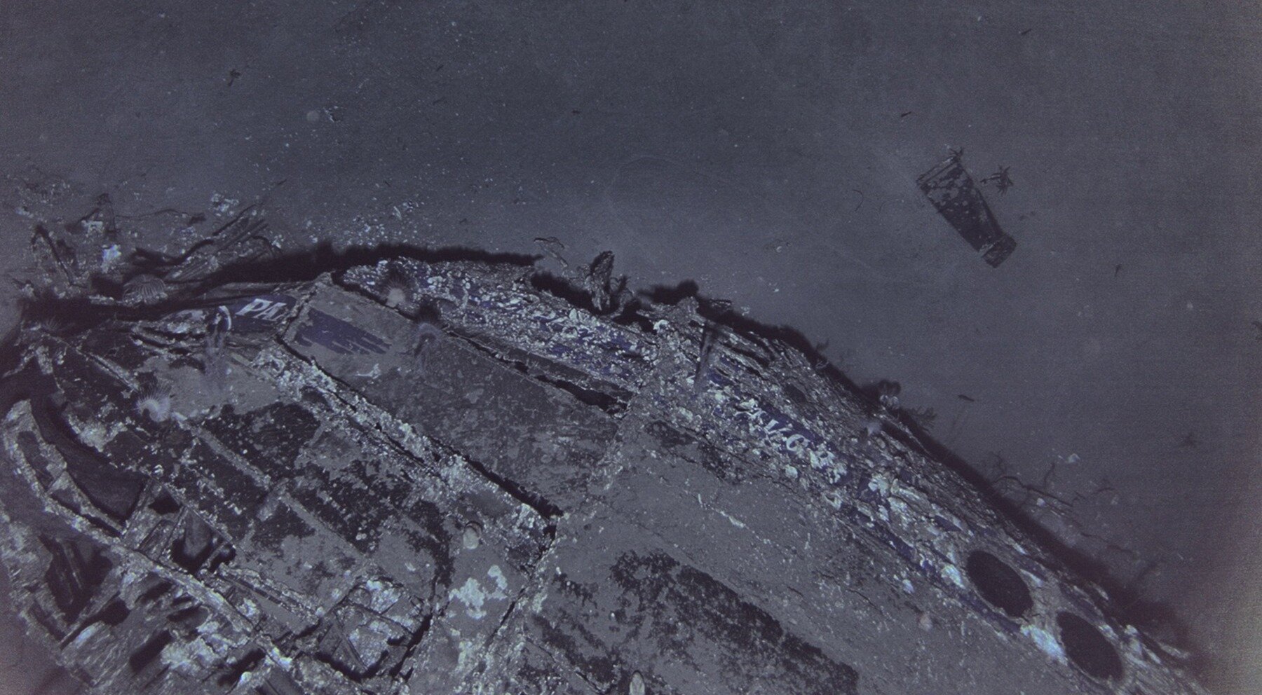 An image of the nose section of the Clipper Endeavor with the visible PAA logo in the Atlantic Ocean. Photo / AirSea Heritage Foundation and Deep Sea Vision via The New York Times