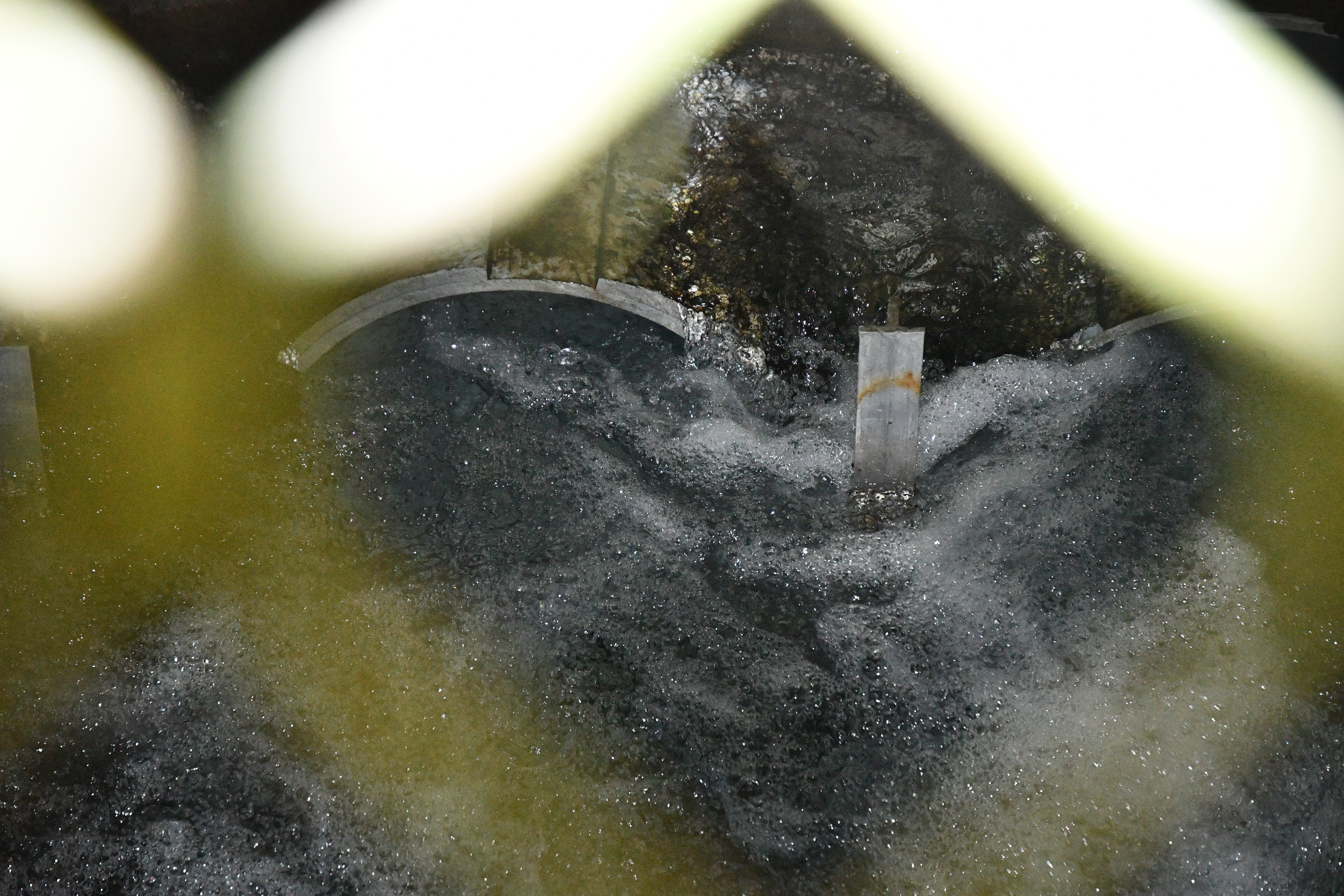 Water flowing to be treated at Rotorua Lakes Council's Karamu Takina springs and water treatment site. Photo / Laura Smith