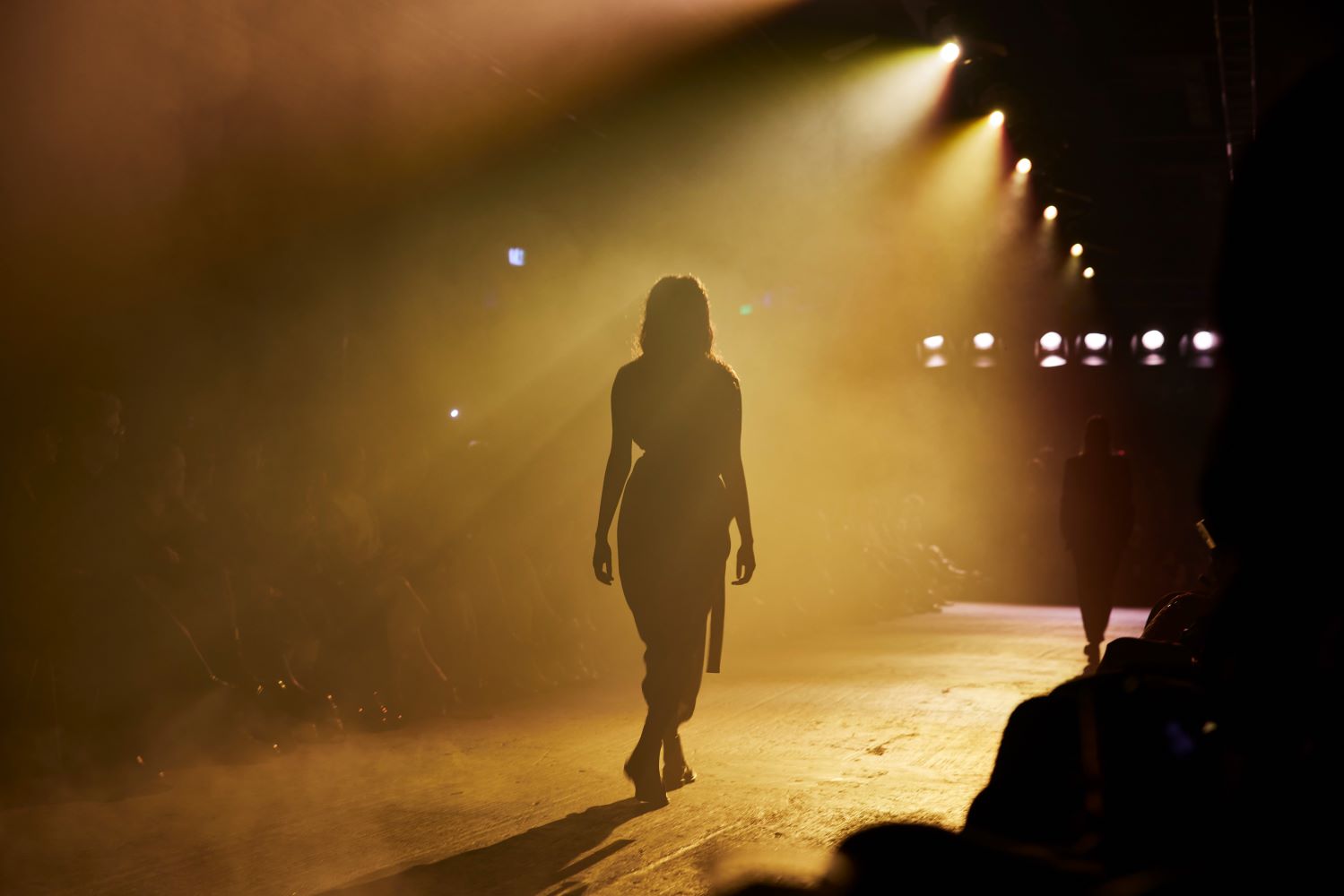 Shark Beauty for Zambesi - Credit_ Life Without Andy.