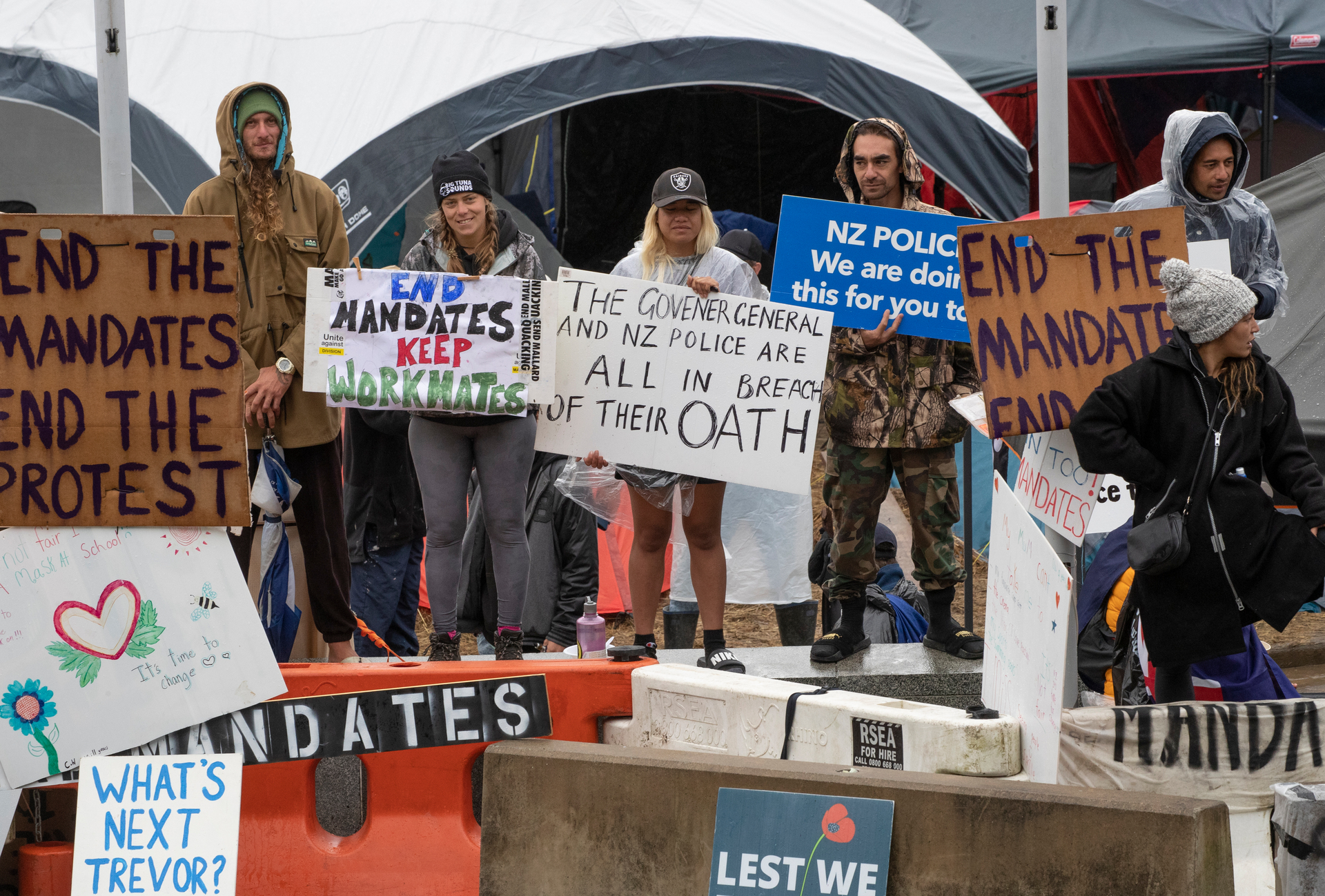 Protesters on day 13 of the anti-mandate protest and occupation at Parliament in Wellington on February 20. Photo / Mark Mitchell