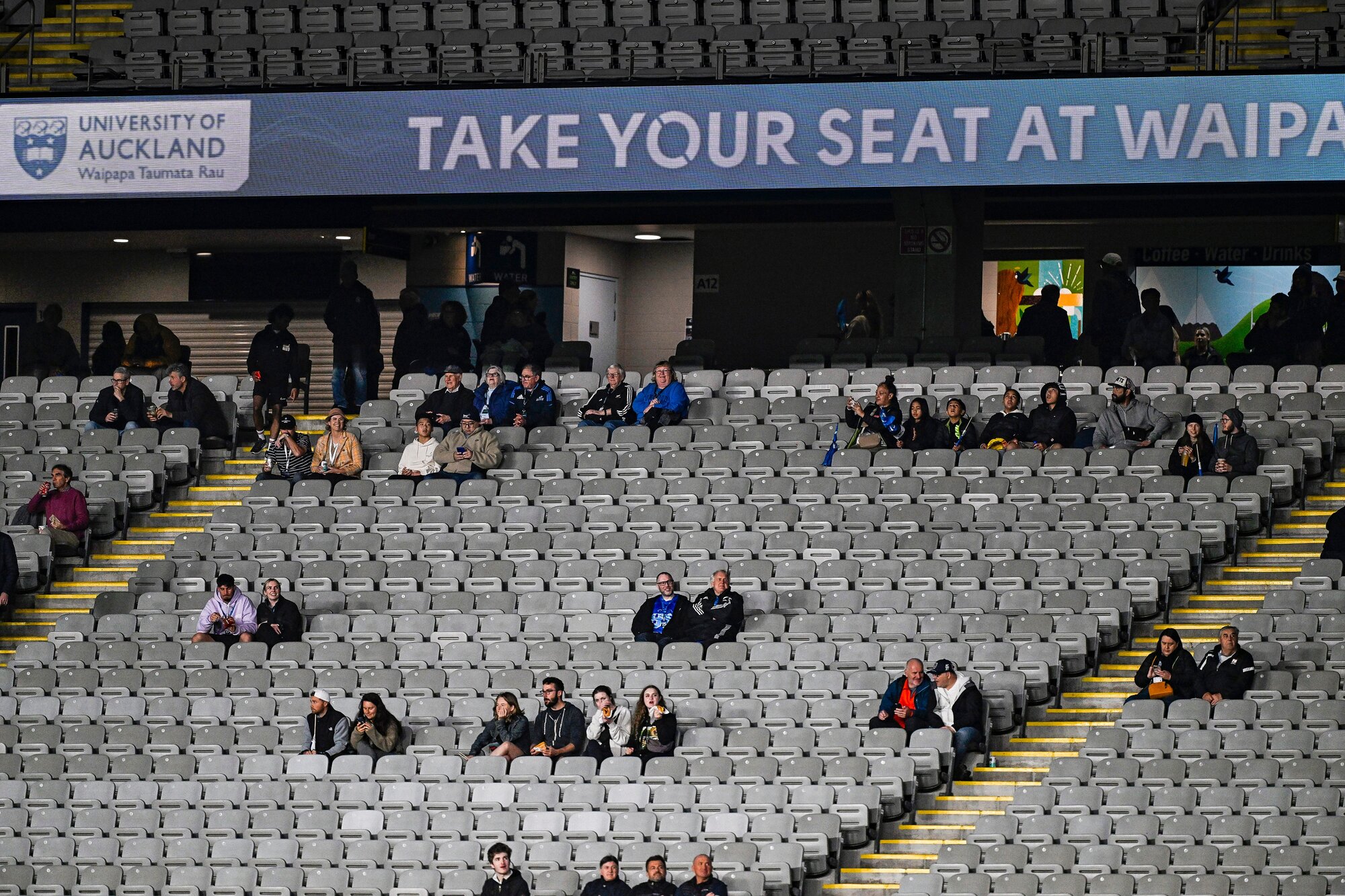 A smattering of spectators watched on as the Blues played the Western Force in 2025. Photo / Photosport
