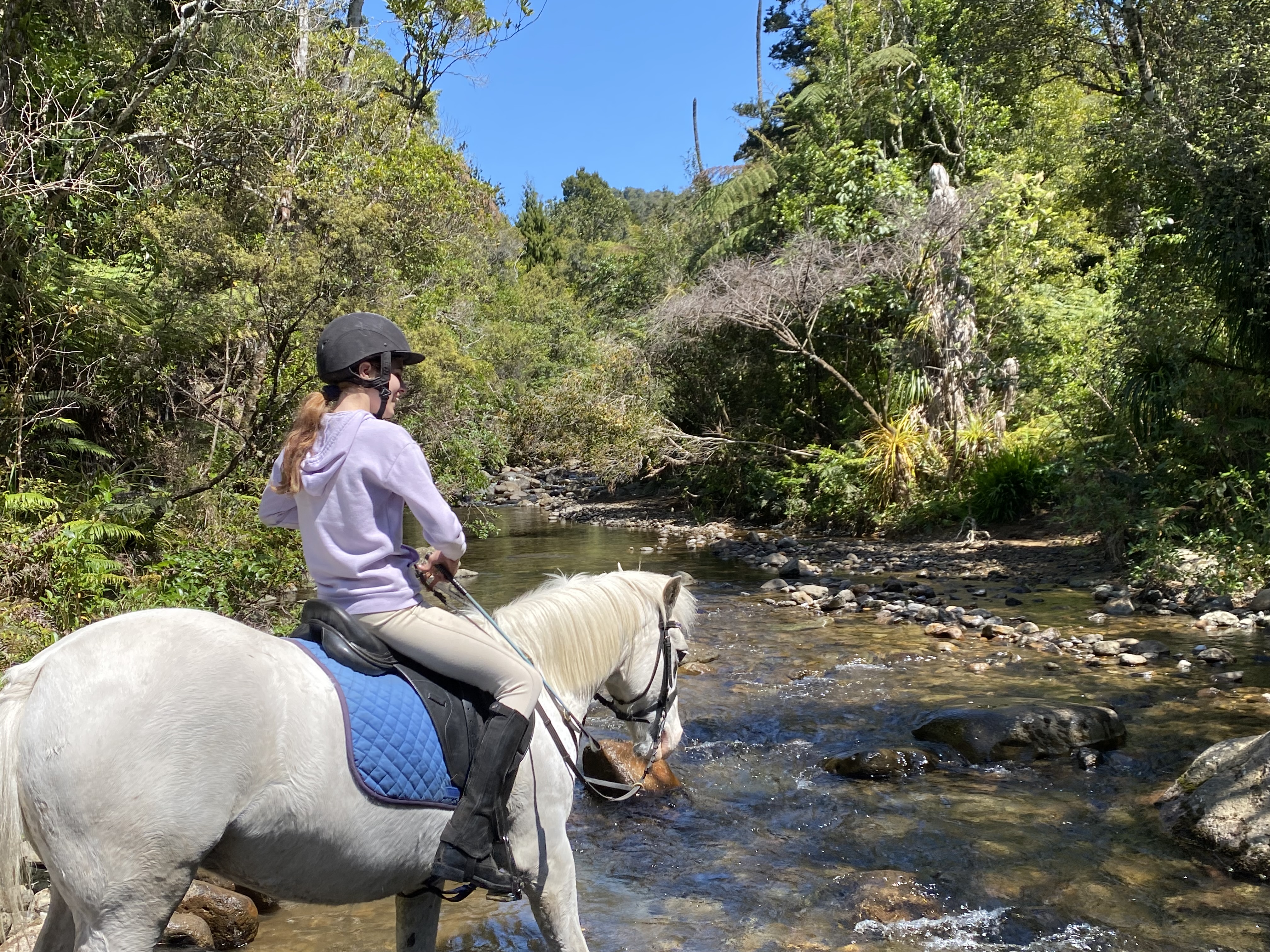 An equestrian area has also been developed, and trails offer a few hours of riding. 