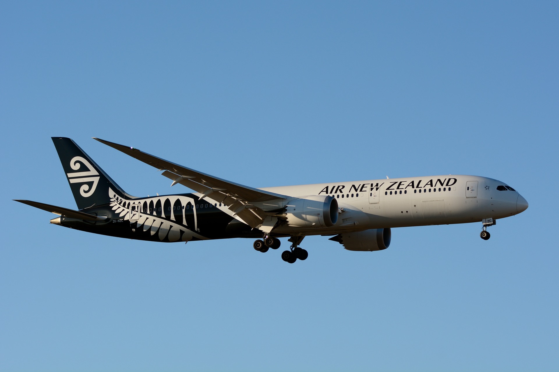 Actor's love affair with Kiwis lands him starring role in new Air NZ video  – Travel Monitor