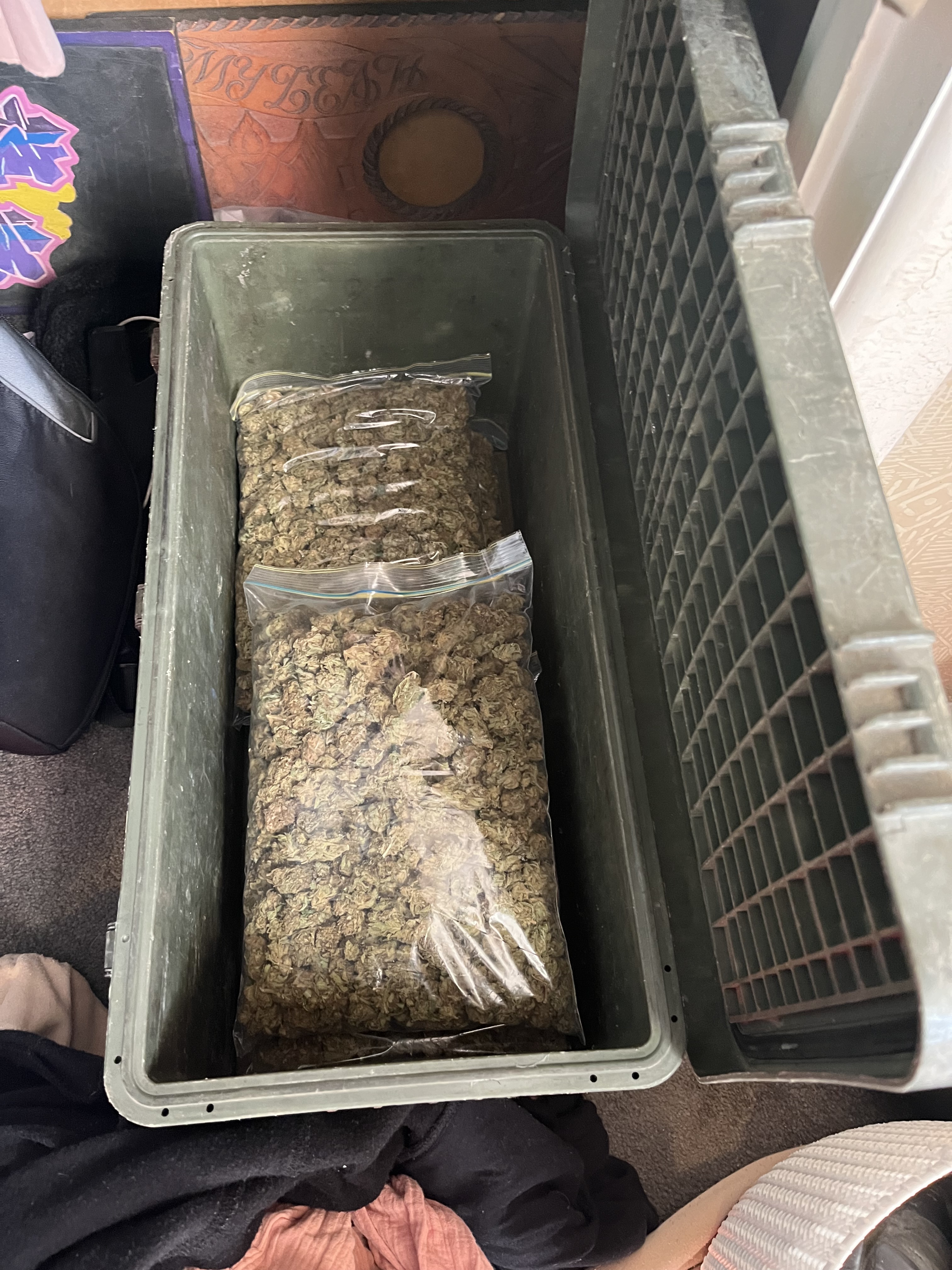 A large quantity of cannabis was seized during search warrants as part of Operation Highwater in the North Island. Photo / supplied