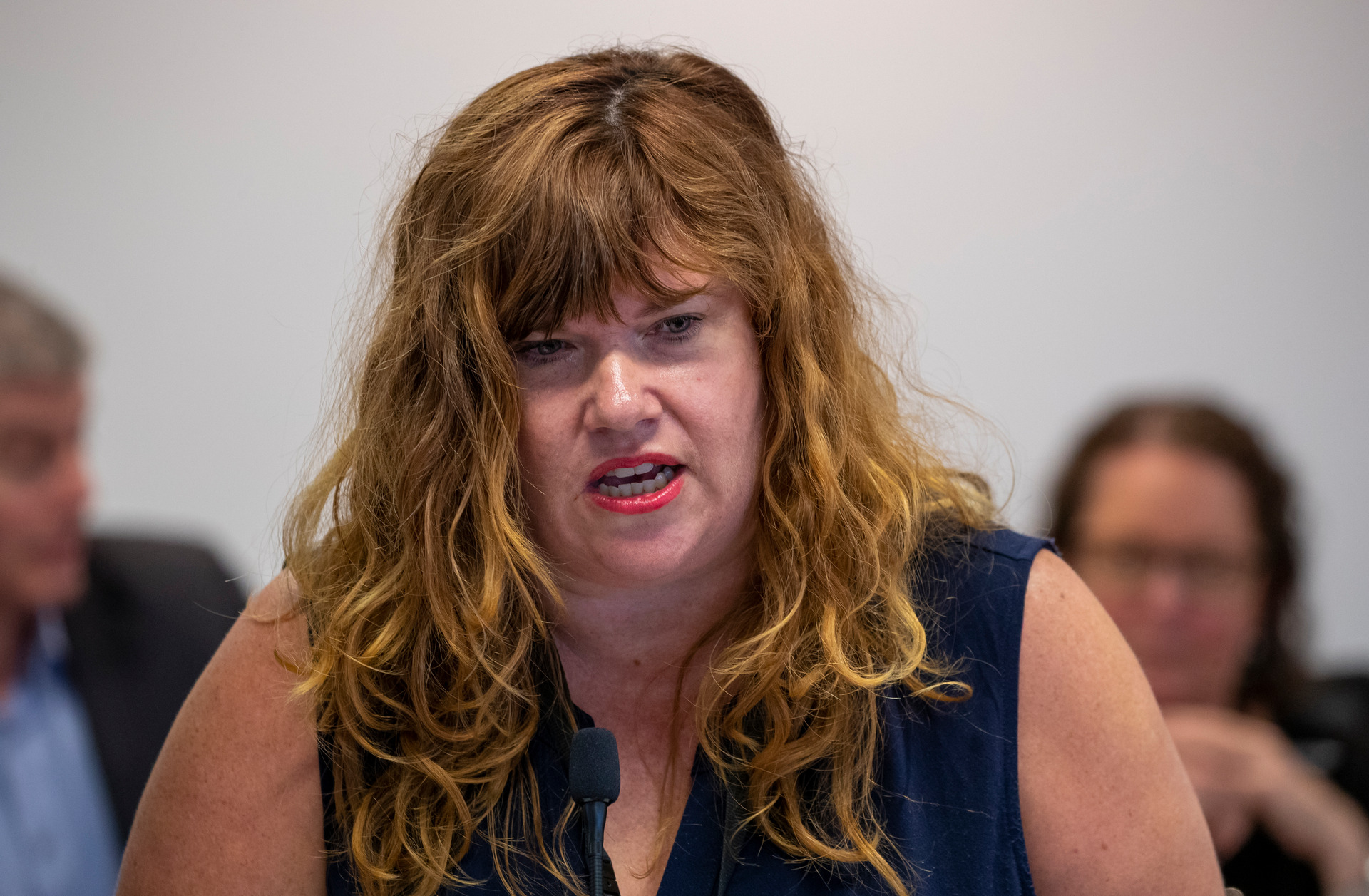 Wellington City councillor Rebecca Matthews. Photo / Mark Mitchell