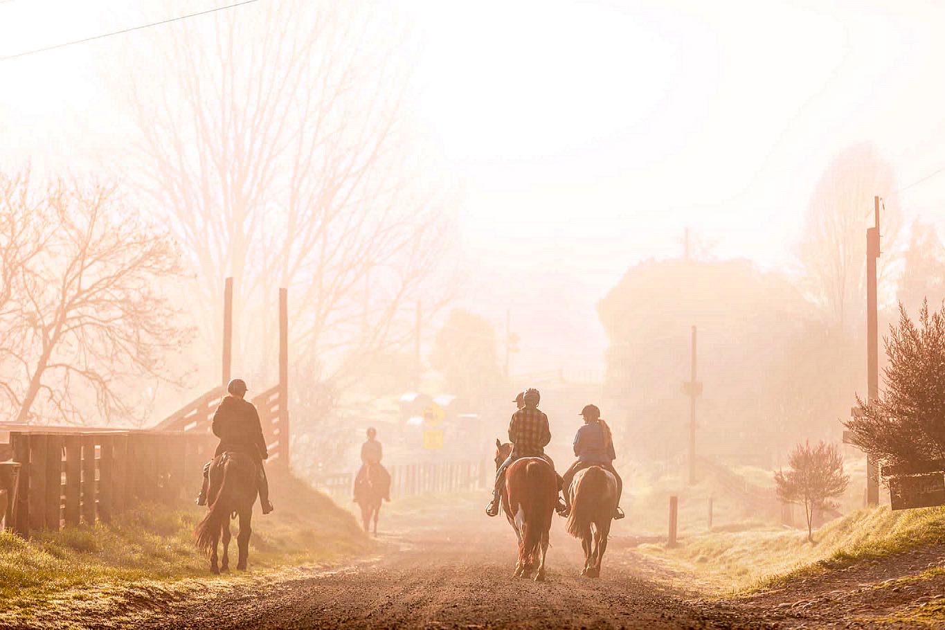 A winter horse trek at Blue Duck Station. Photo / Sophia Haugh