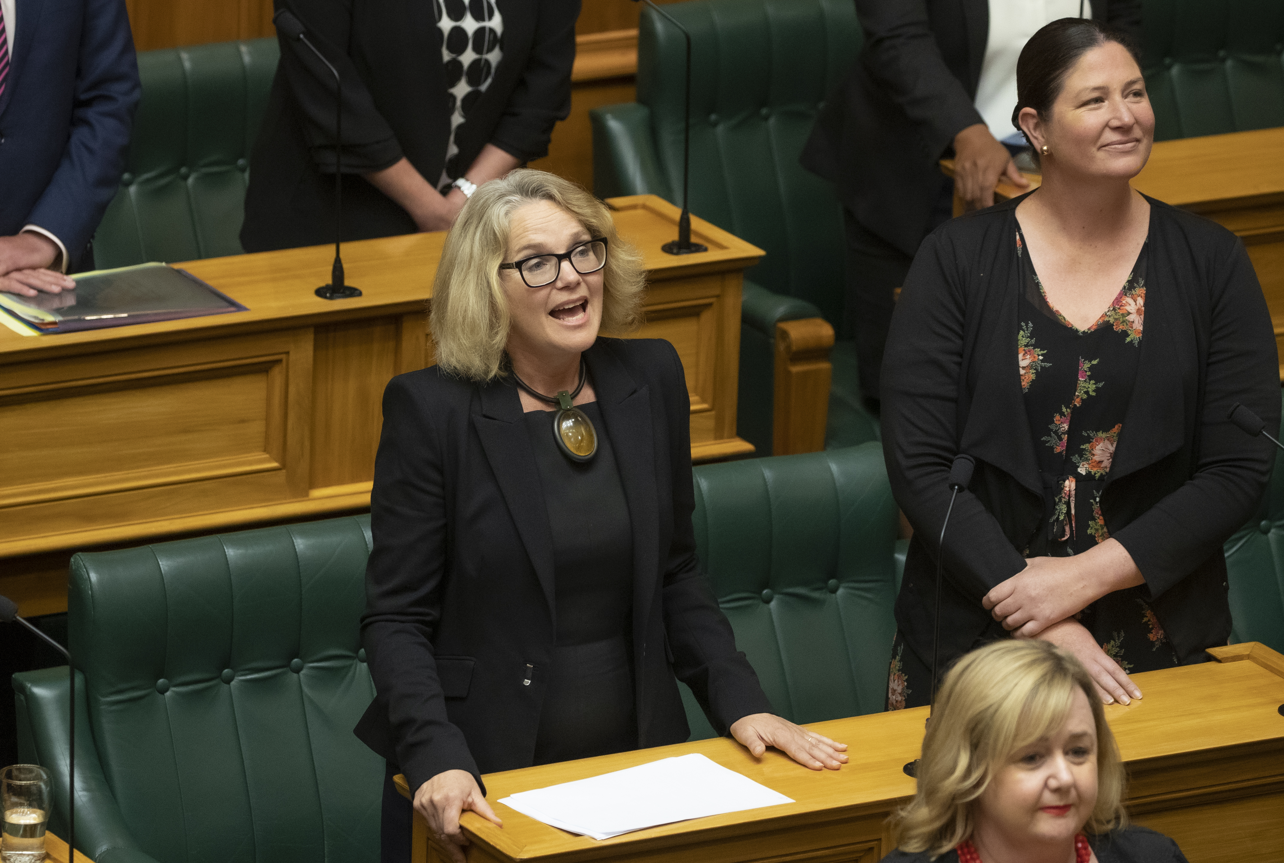 Whangārei MP Emily Henderson said she and her fellow Northland MPs - Willow-Jean Prime and Kelvin Davis - had been lobbing their Cabinet Ministers about the value of having a dry dock in Northland. Photo / NZME
