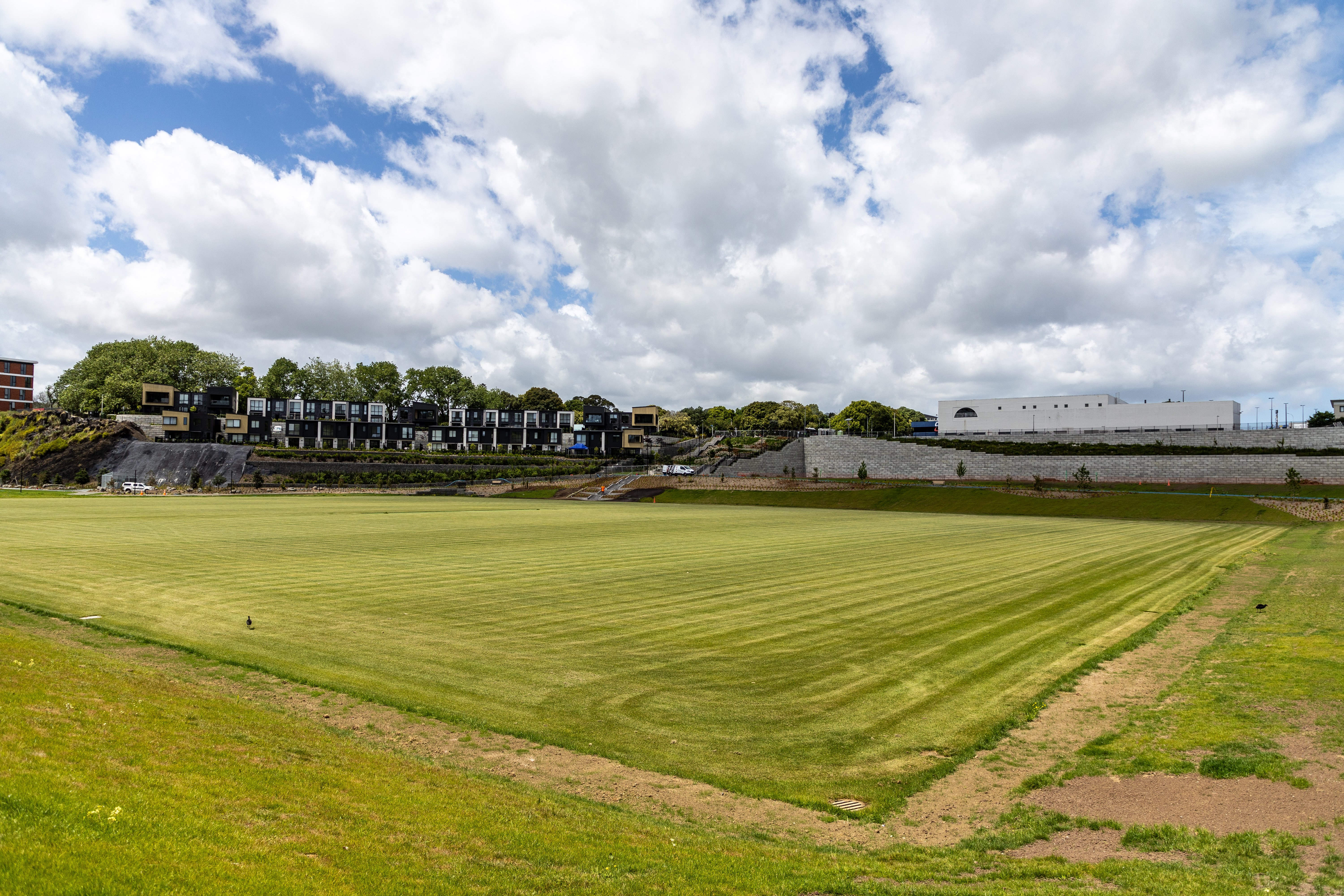 New soccer field, surrounded by homes being developed by Fletcher Living in the ex-Three Kings quarry. Photo / Michael Craig