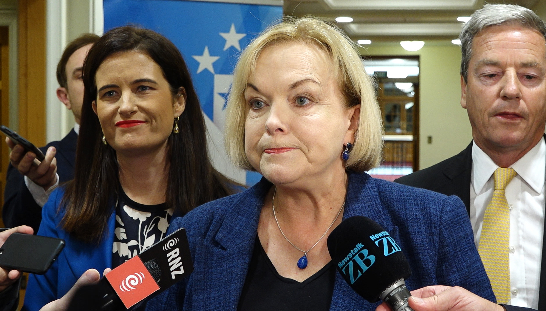 Leader of the Opposition Judith Collins said the Government lied to New Zealanders when announcing its new housing policy. Photo / Mark Mitchell