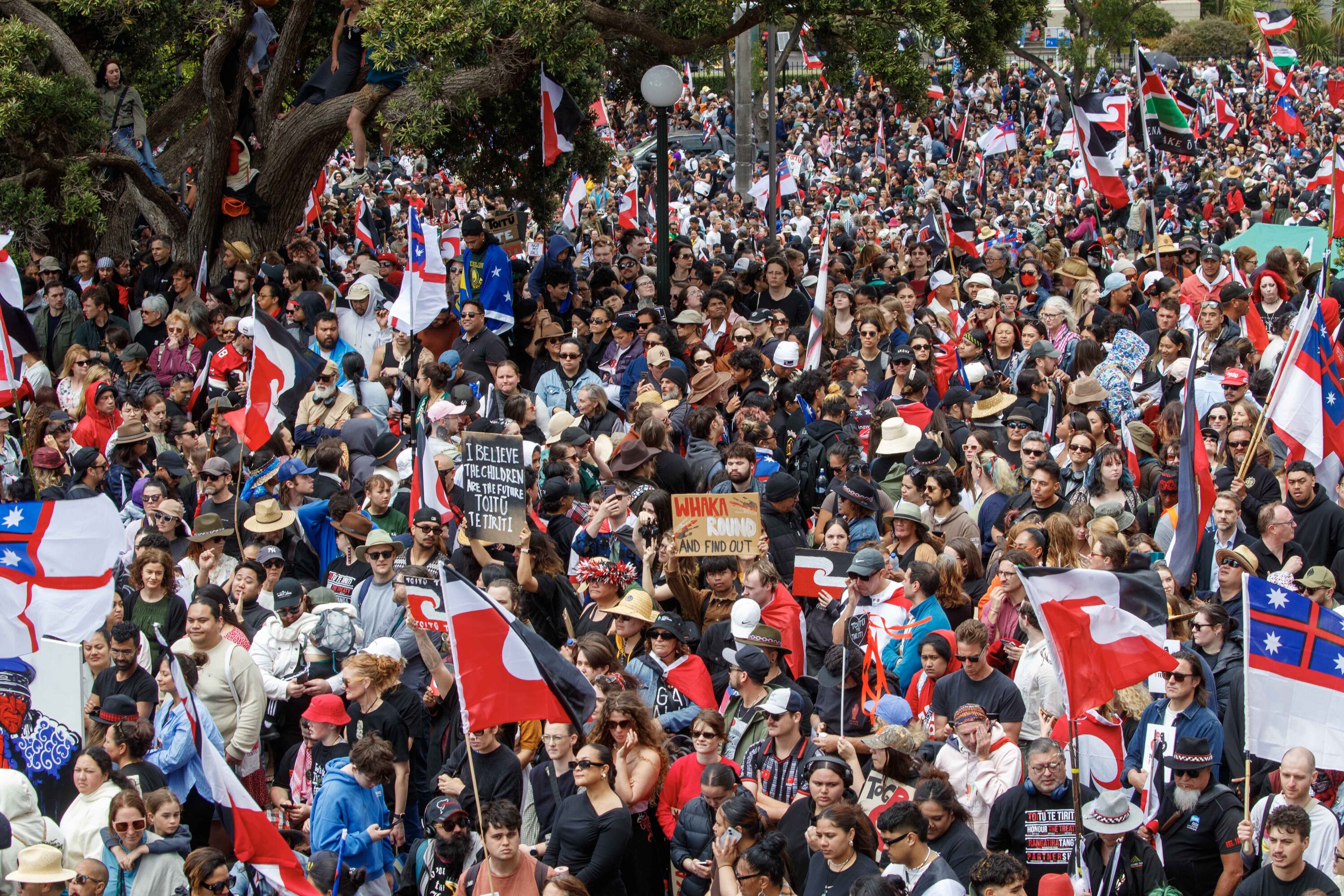 The hīkoi outside Parliament in Wellington. Photo / Mark Mitchell 